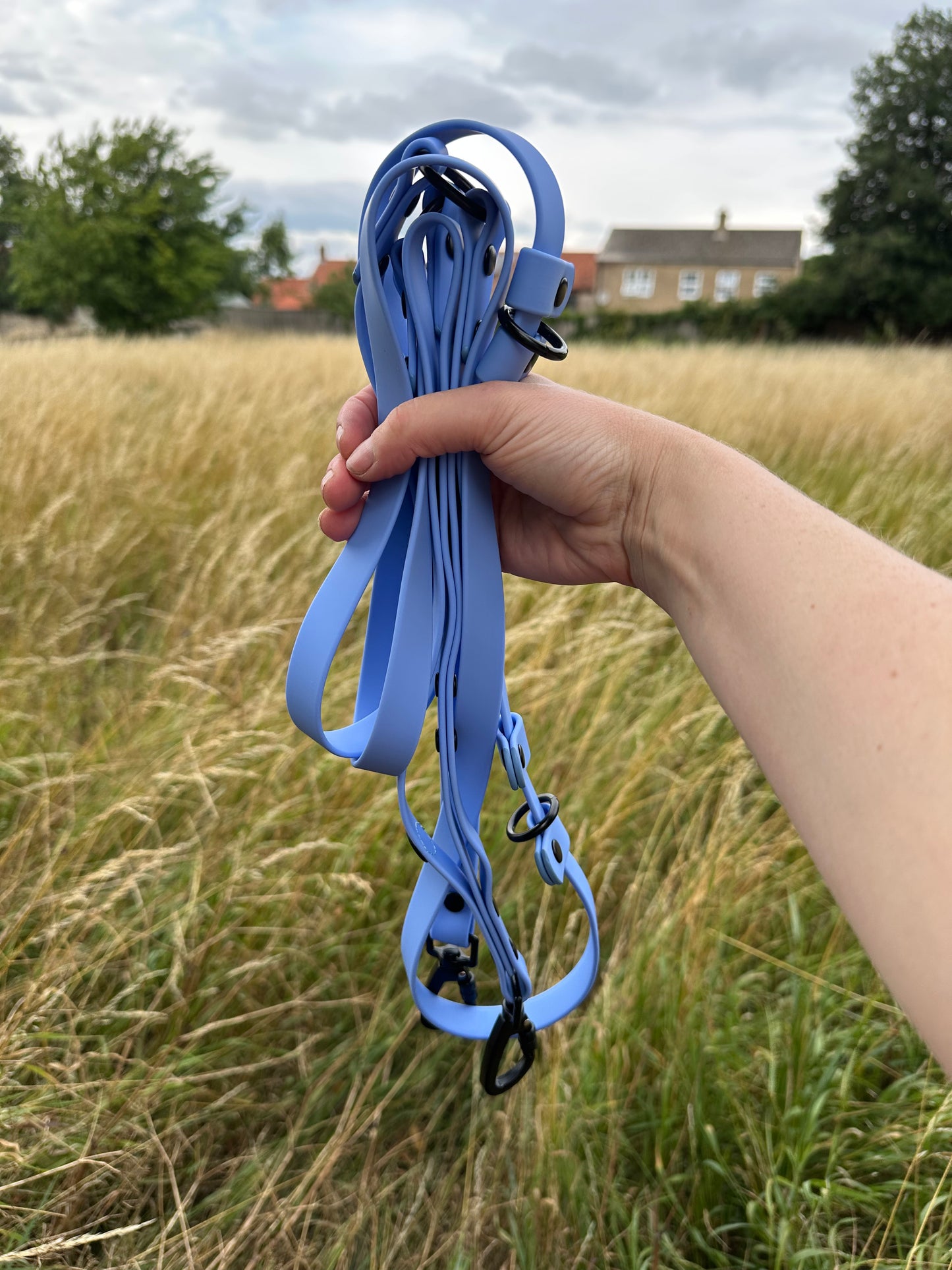 Multi Way Hands Free Dog Lead - Blue