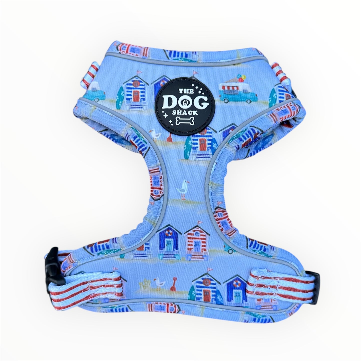 Beach Pup bundle