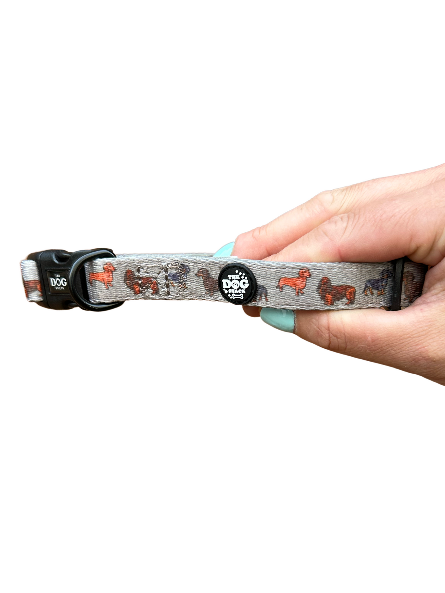 LARGE Collar - Clever Little Sausages