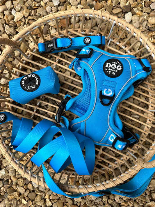 Neon Blue 3 Clip Harness Bundle