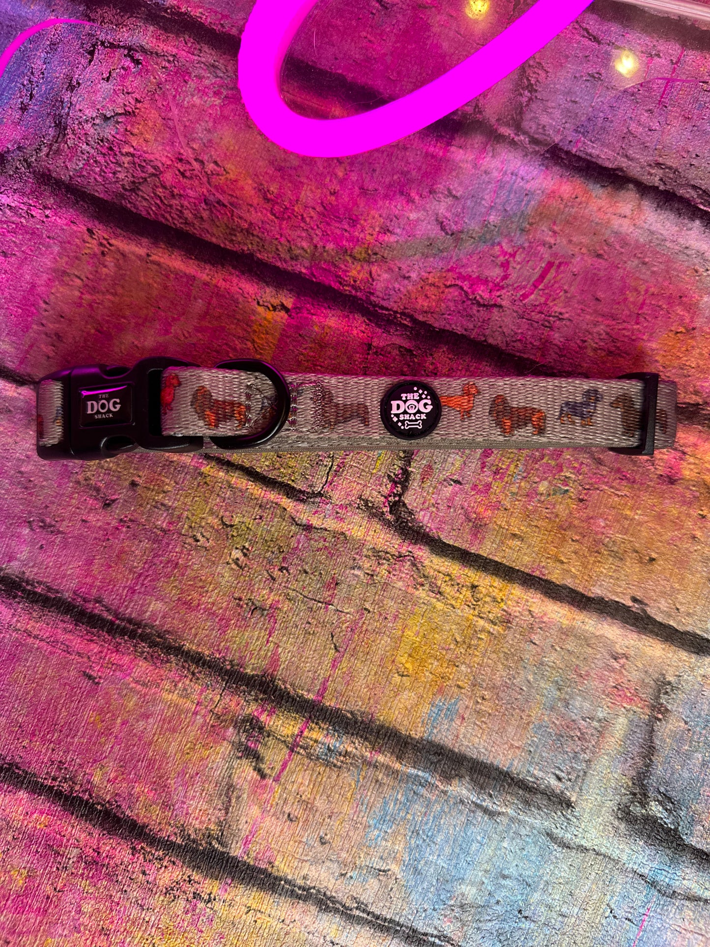 LARGE Collar - Clever Little Sausages