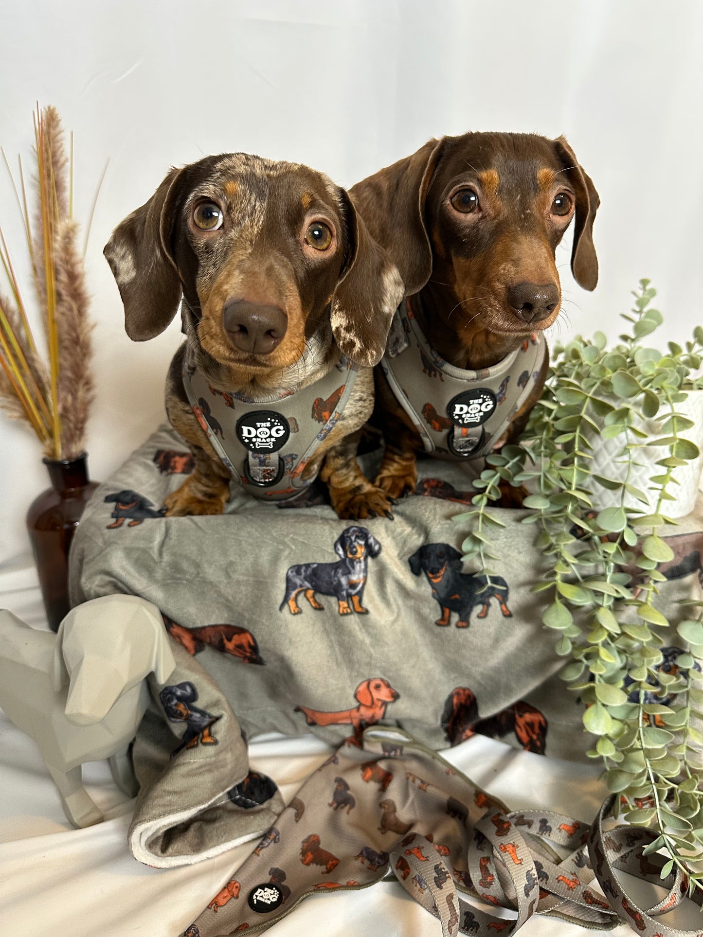Adjustable 1 Clip & 3 Clip Harness - Clever Little Sausages