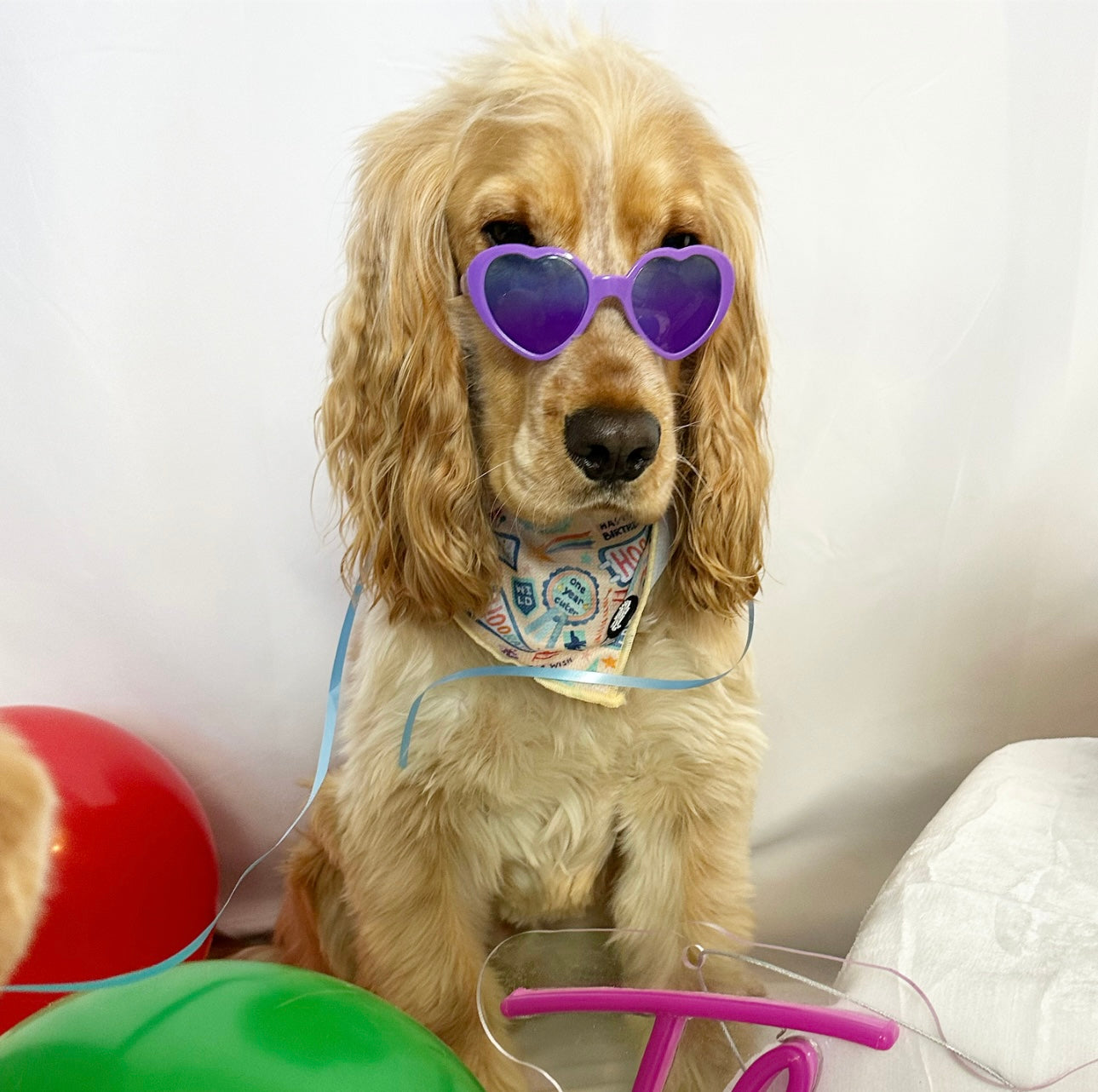 Tie On Bandana - Hooray it's my Birthday Pink size small was £6