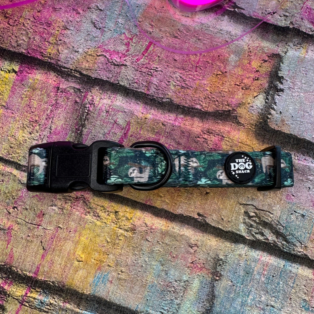 Collar - Sid the Sloth size medium was £12