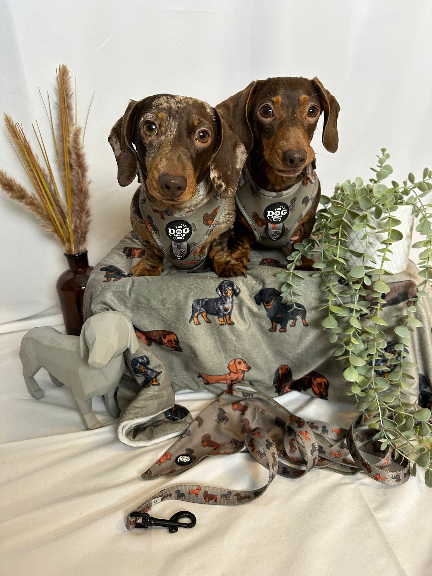 Clever little Sausages Bundle