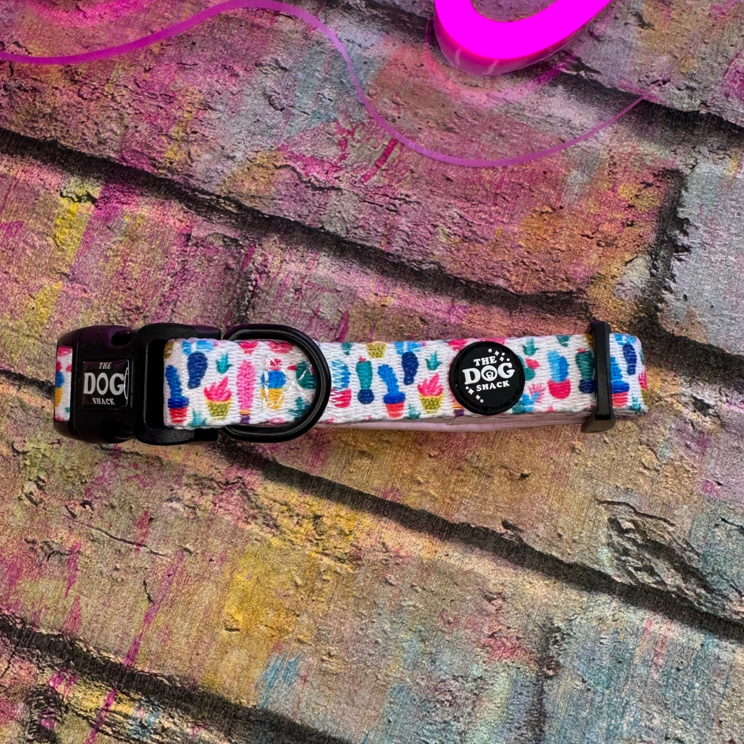 Collar - Cant Touch This size xs was £12