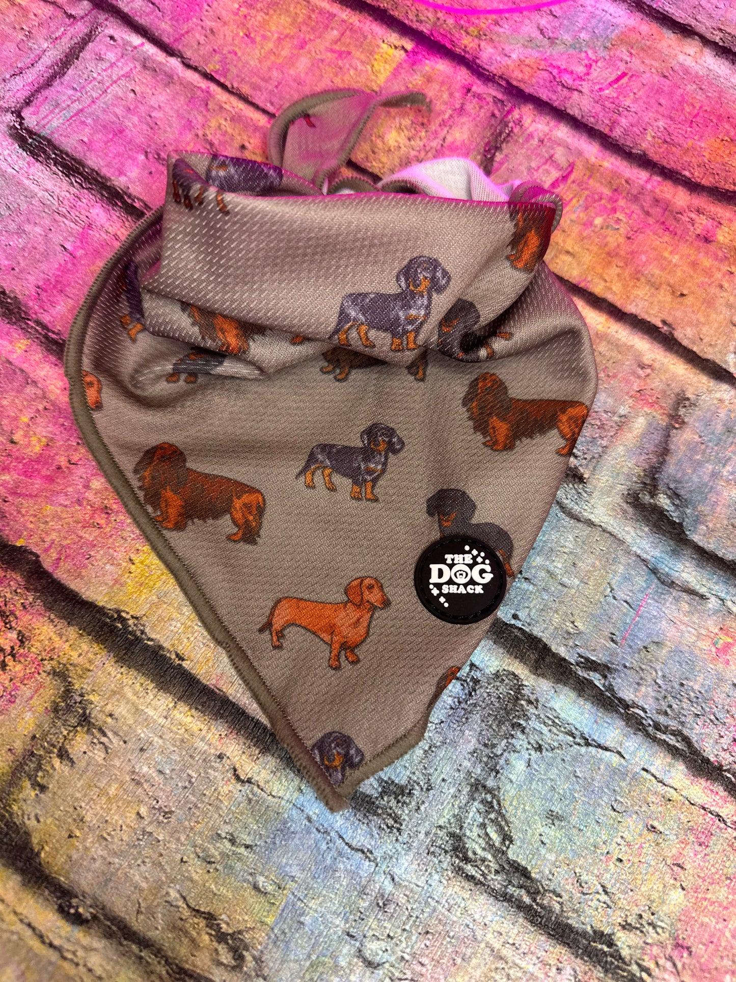 Tie On Bandana - Clever Little Sausages