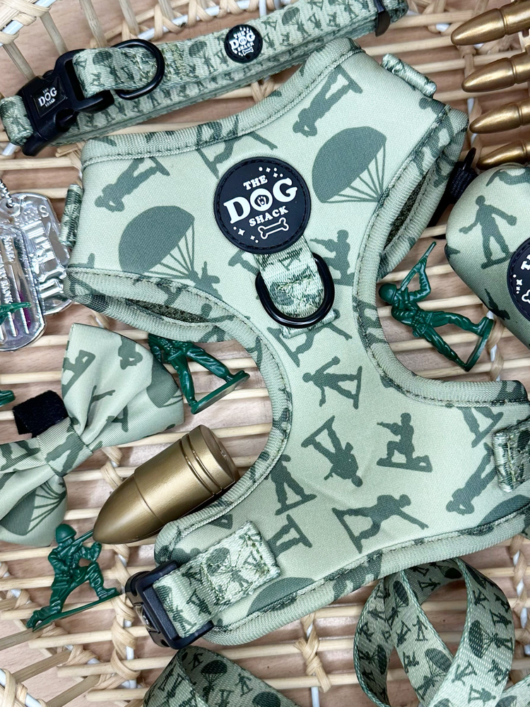 The Dog Shack – The Dog Shack