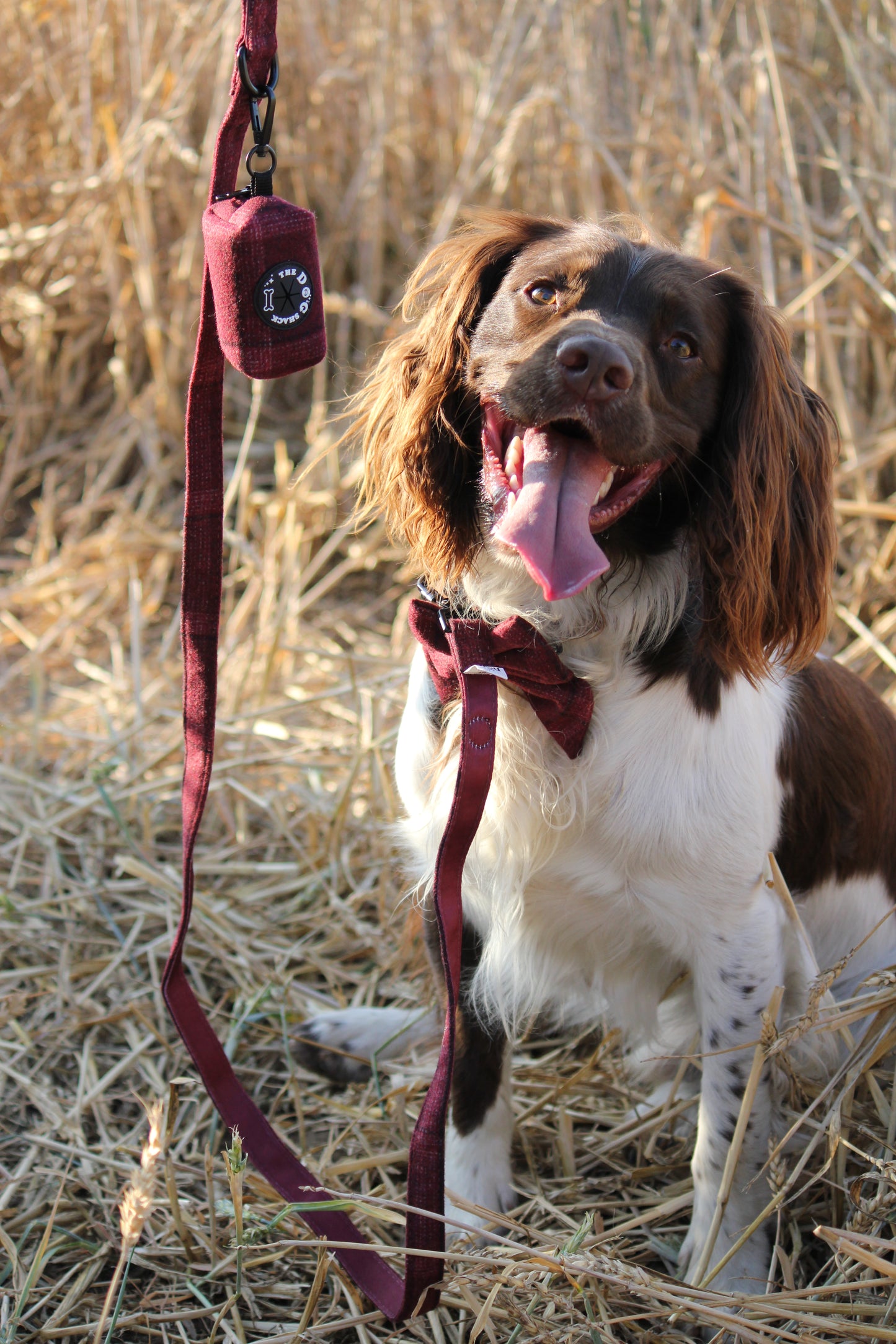 Poo Bag Holder  - Red Tweed