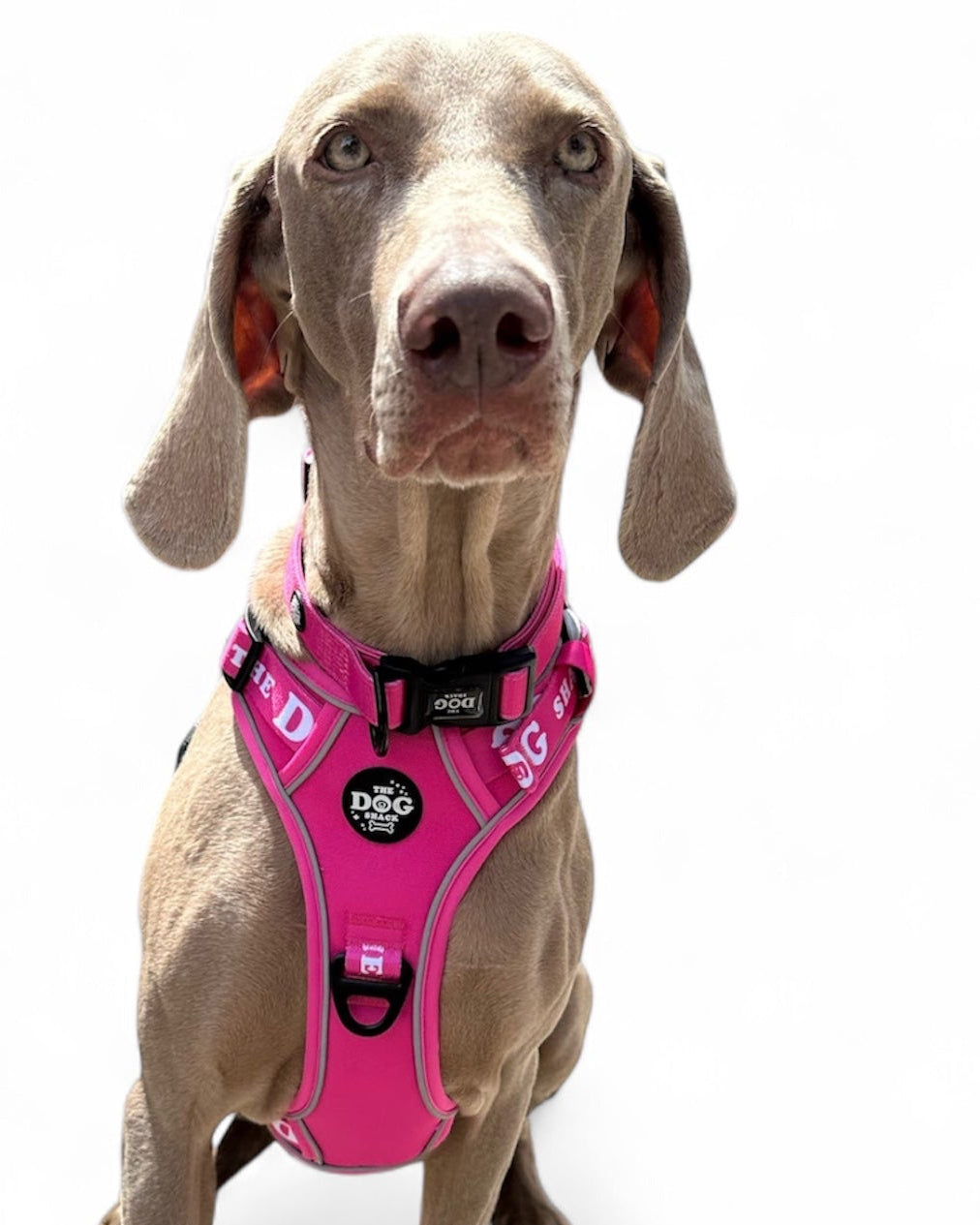 The Active Range 3 clip harness - Neon Pink size large was £34