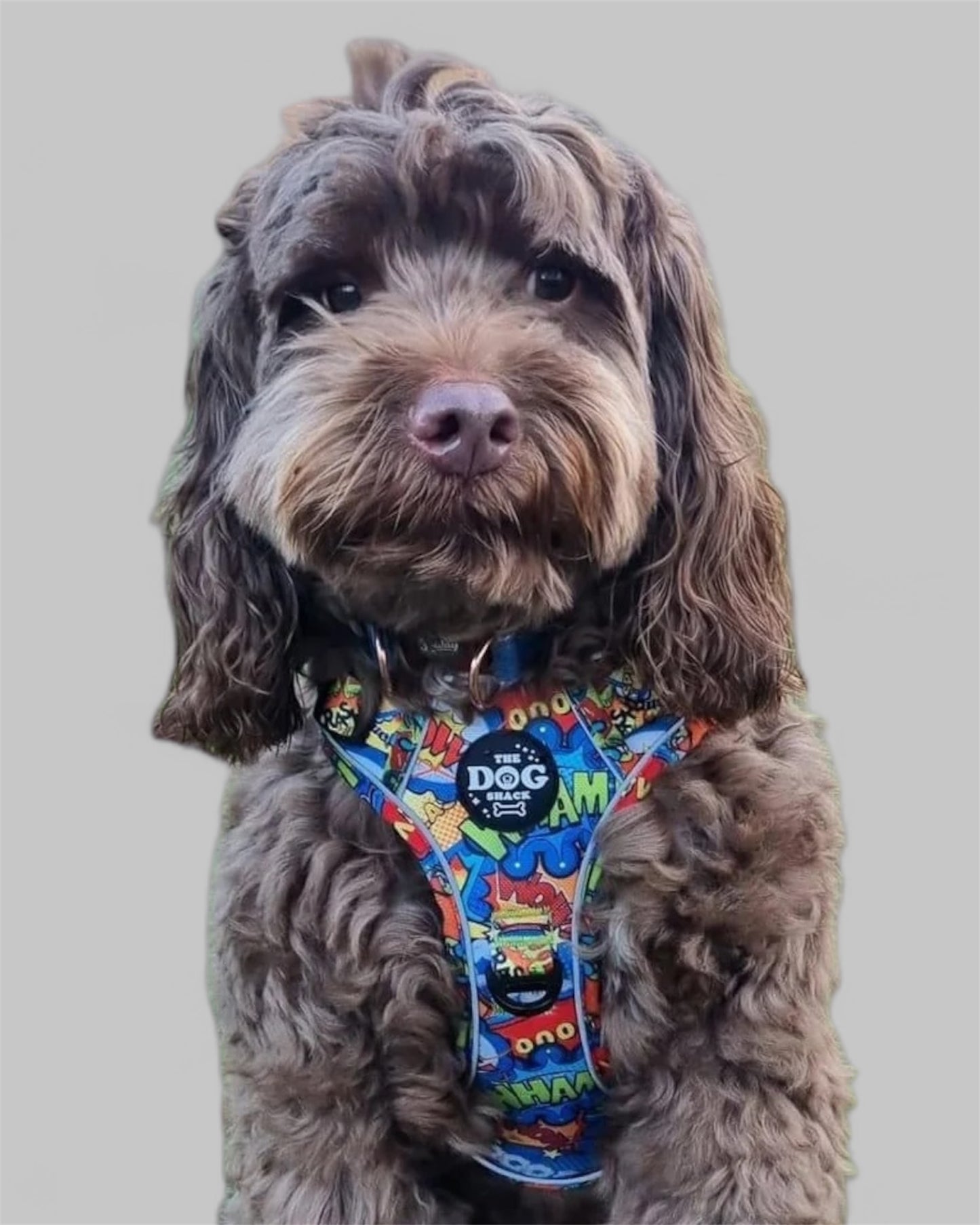 Adjustable Harness  - Ka-Paw 3 clip size small was £34