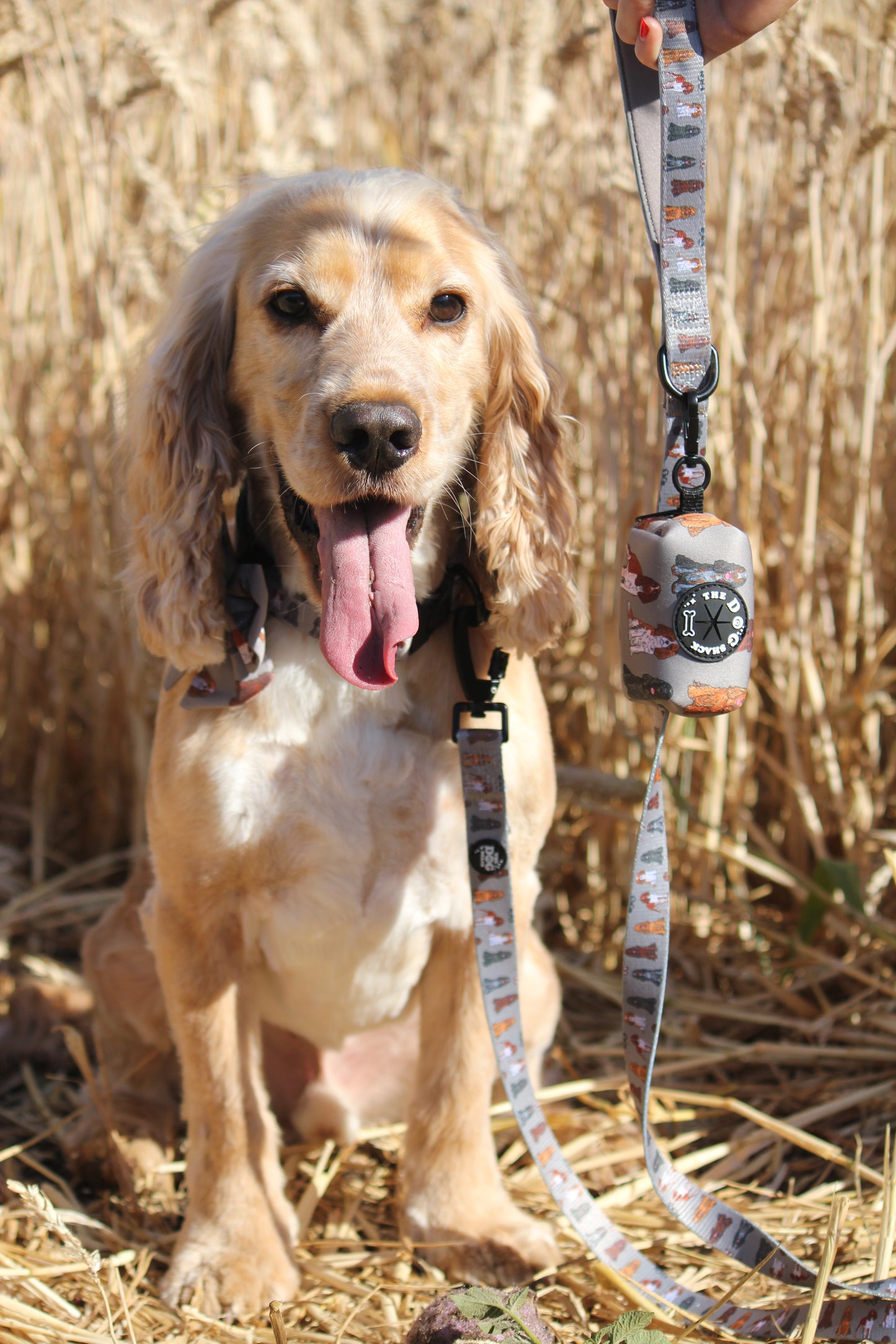 Poo Bag Holder  - Spaniel