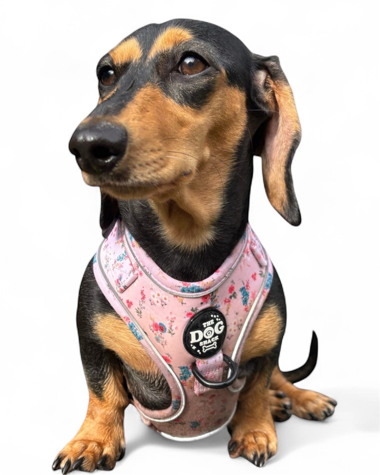 Adjustable 1 Clip & 3 Clip Harness  - Matildas Garden