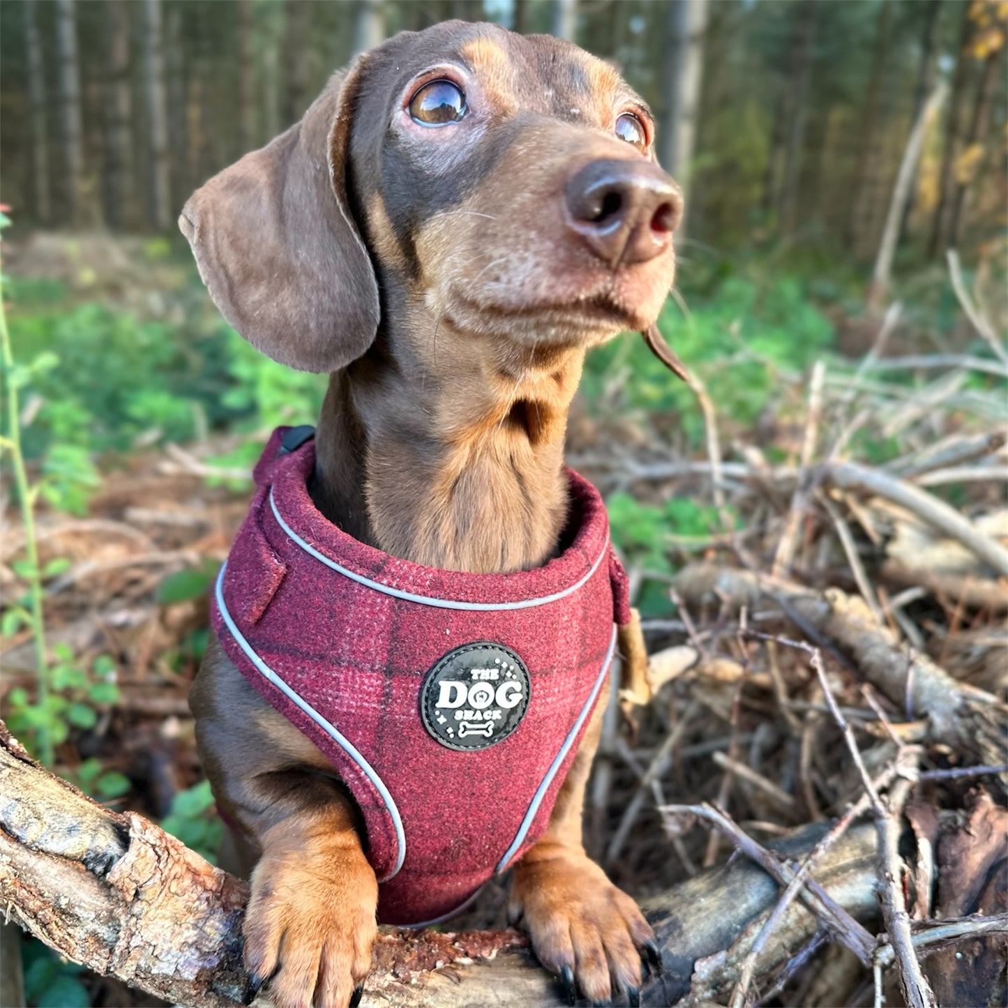 Adjustable 1 Clip & 3 clip harness - Red Tweed