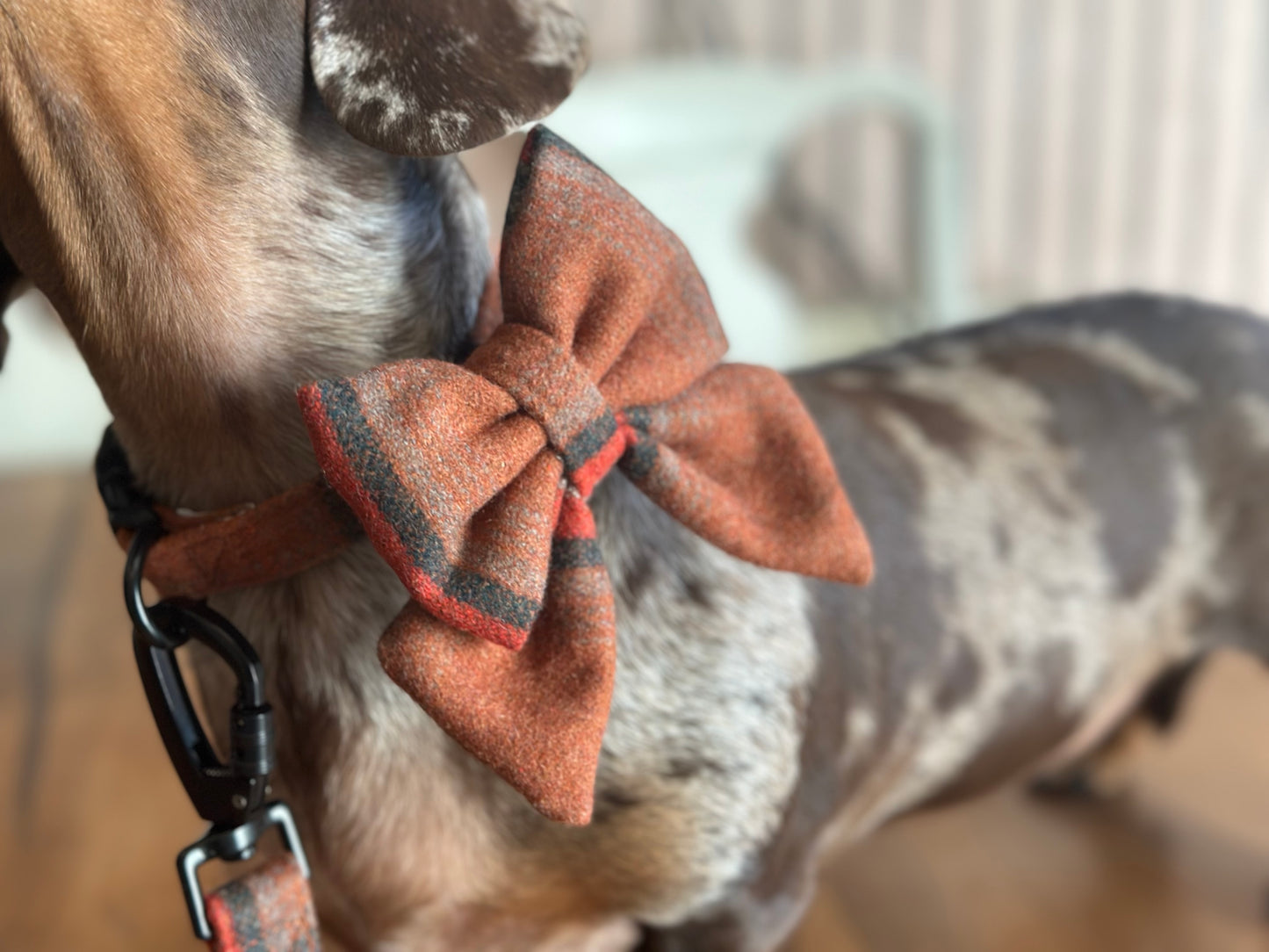 Sailor Bow Tie  - Orange Tweed