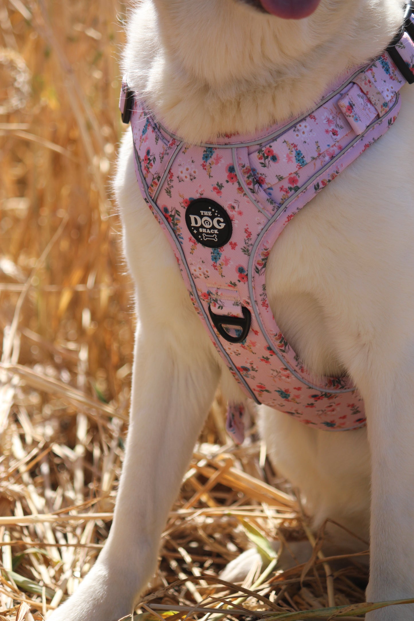 Adjustable 1 Clip & 3 Clip Harness  - Matildas Garden