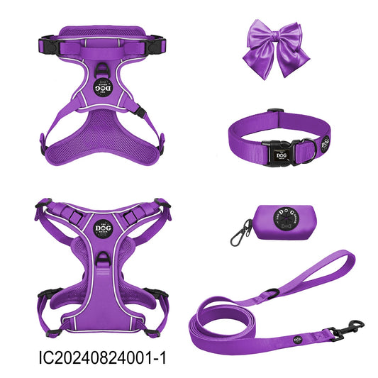 Neon Purple Collection Wholesale