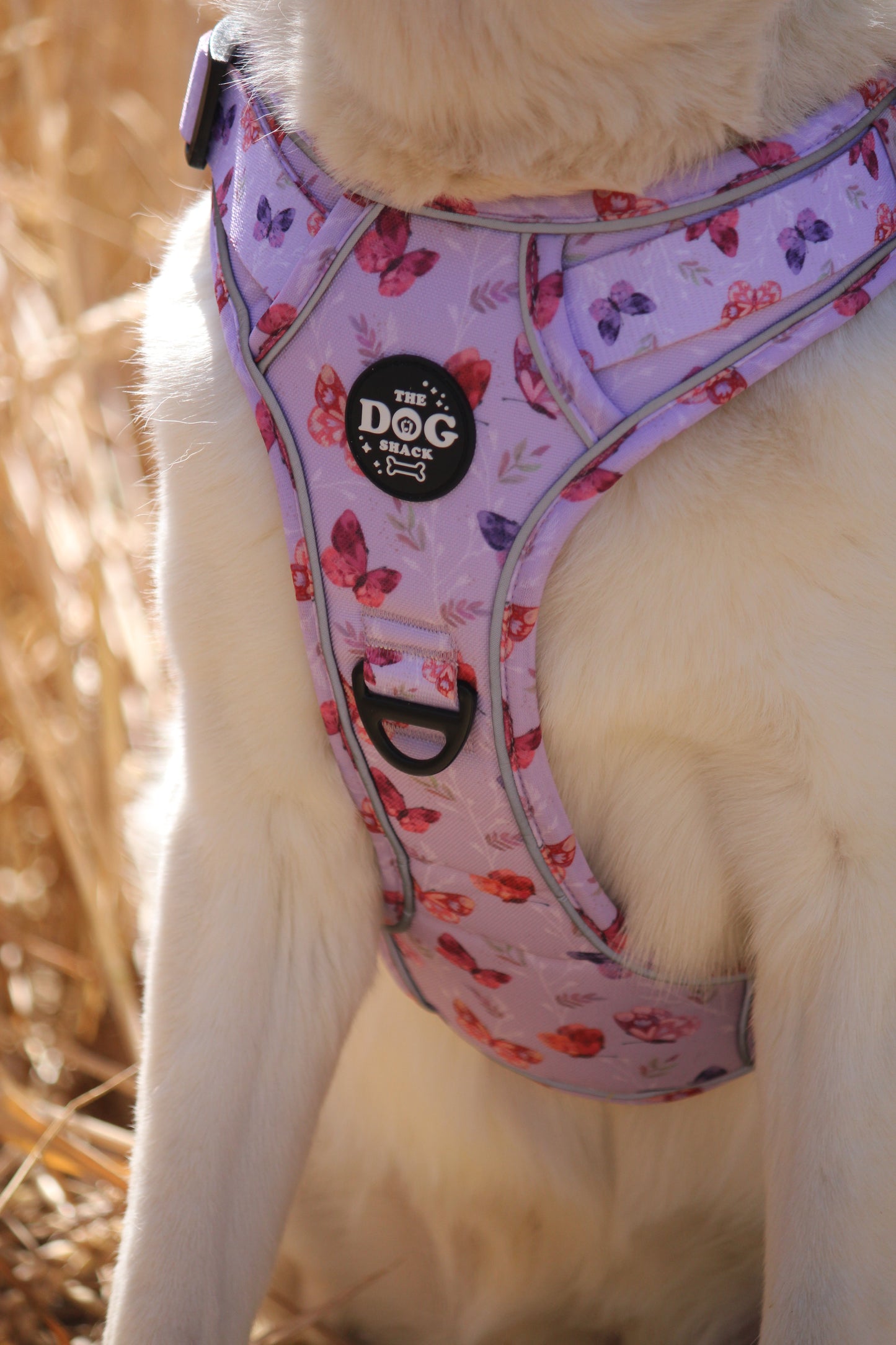 Adjustable 1 Clip & 3 clip harness - You Give Me Butterflies