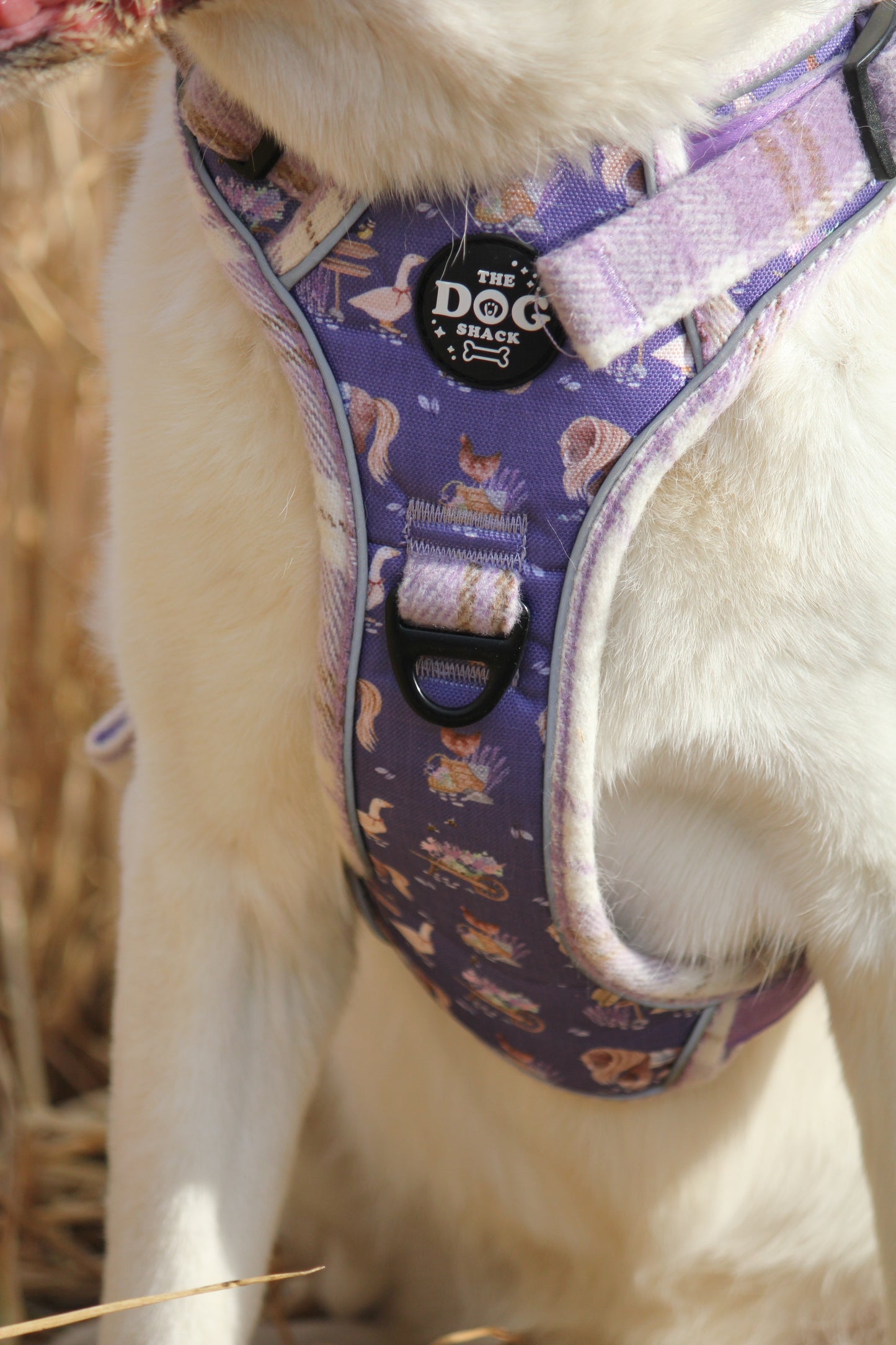 Adjustable 3 clip harness - Lavender Countryside
