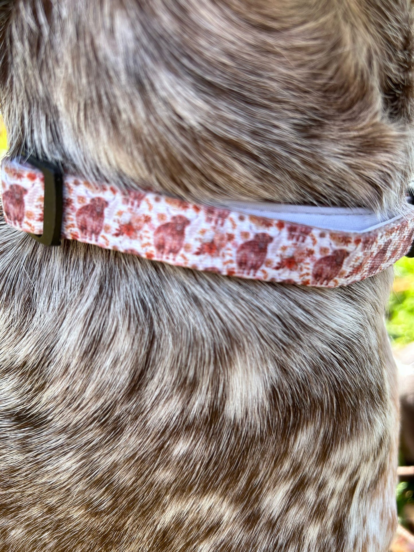 Collar - Brown Tweed x Highland Cow