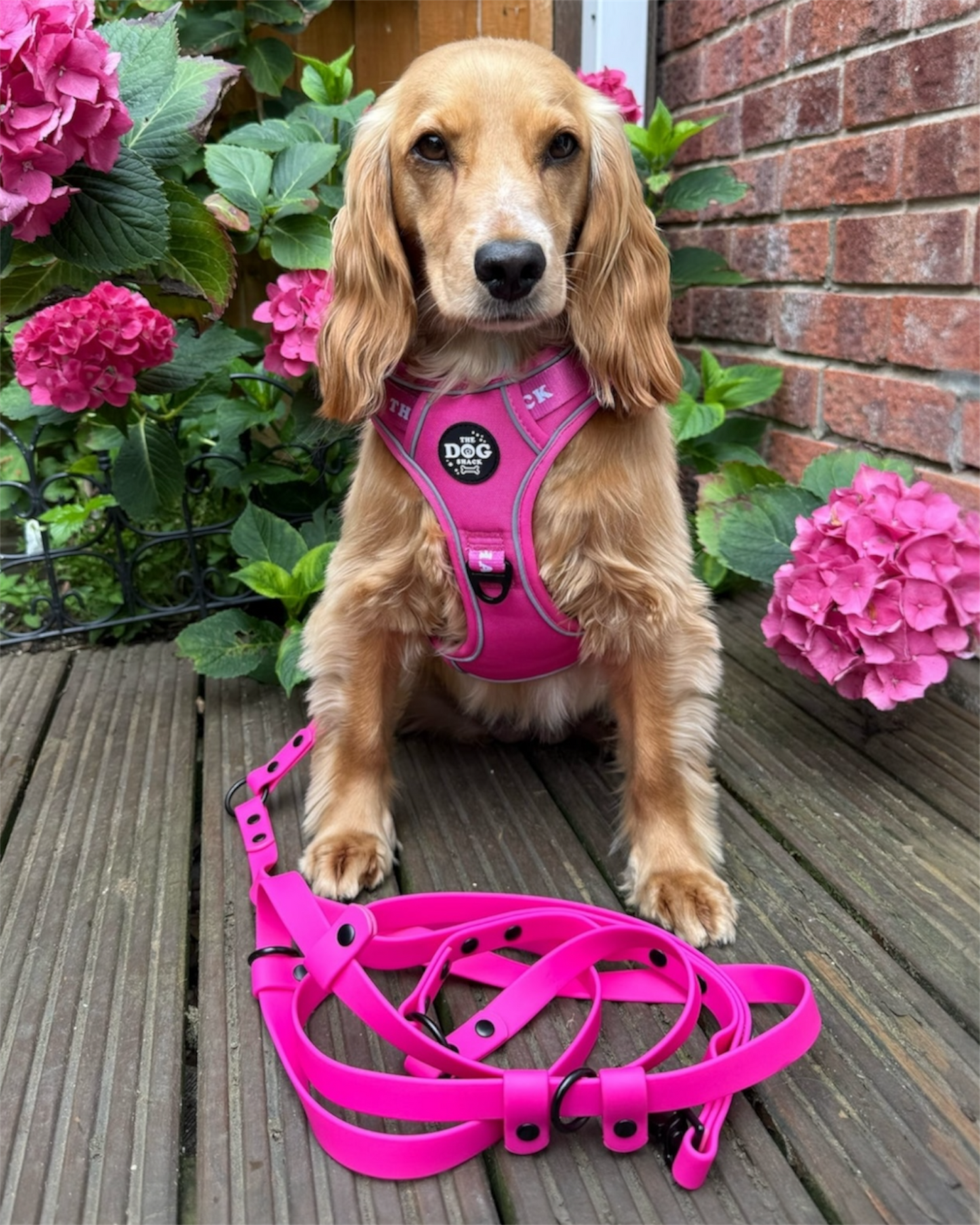The Active Range 3 clip harness - Neon Pink size large was £34