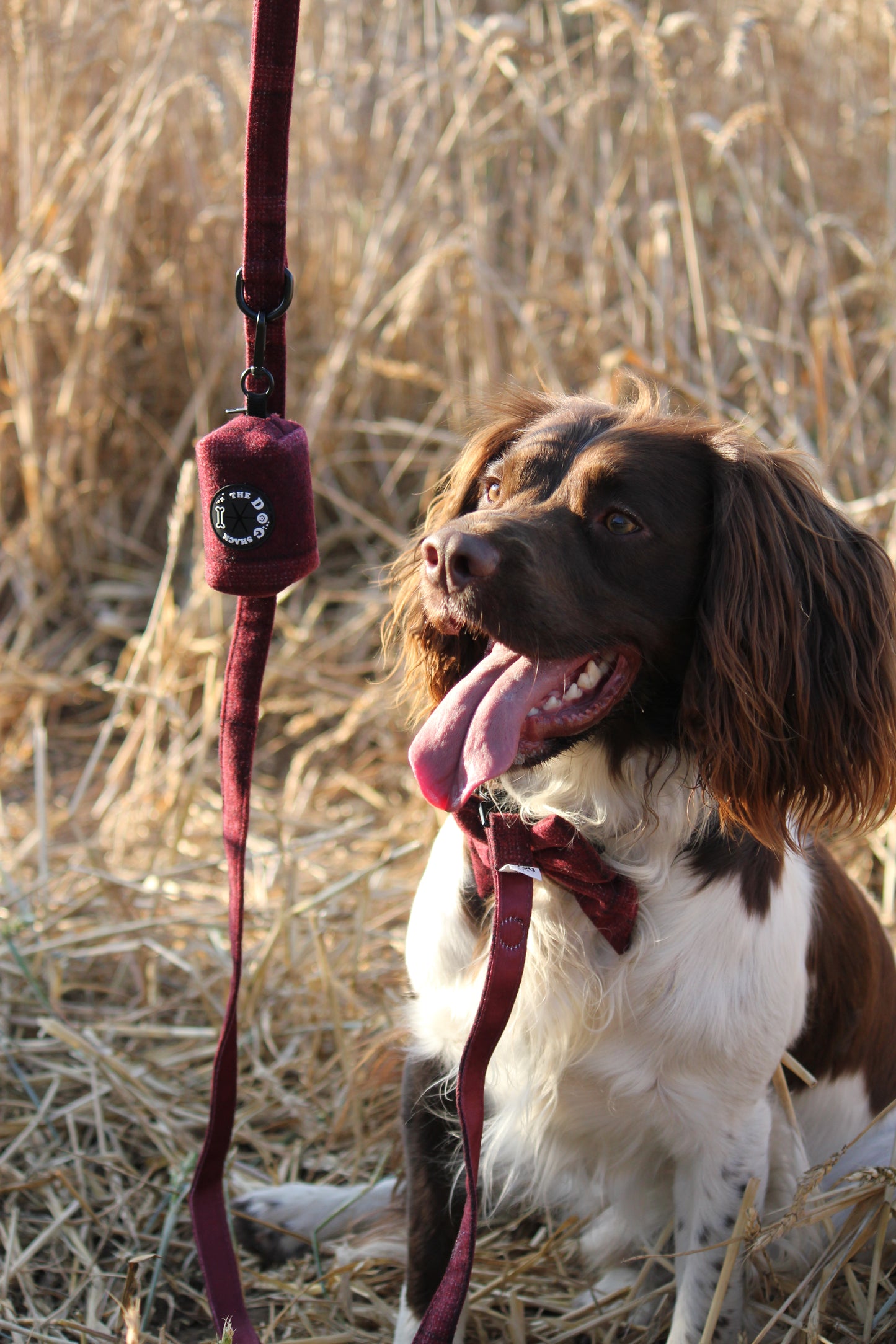 Poo Bag Holder  - Red Tweed