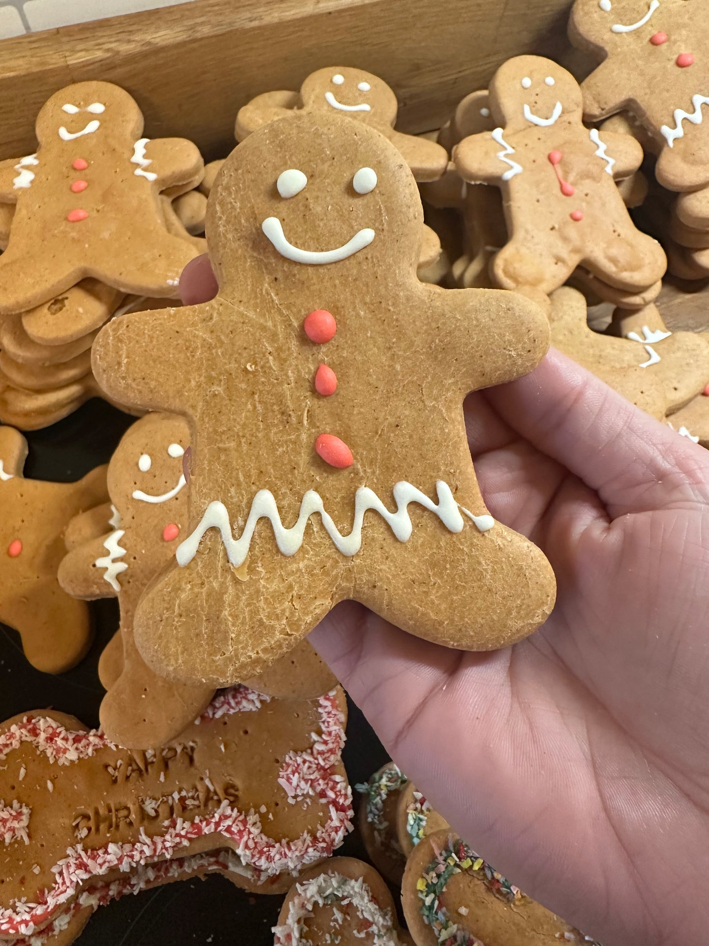 Gingerbread Man Grainfree Dog Biscuit