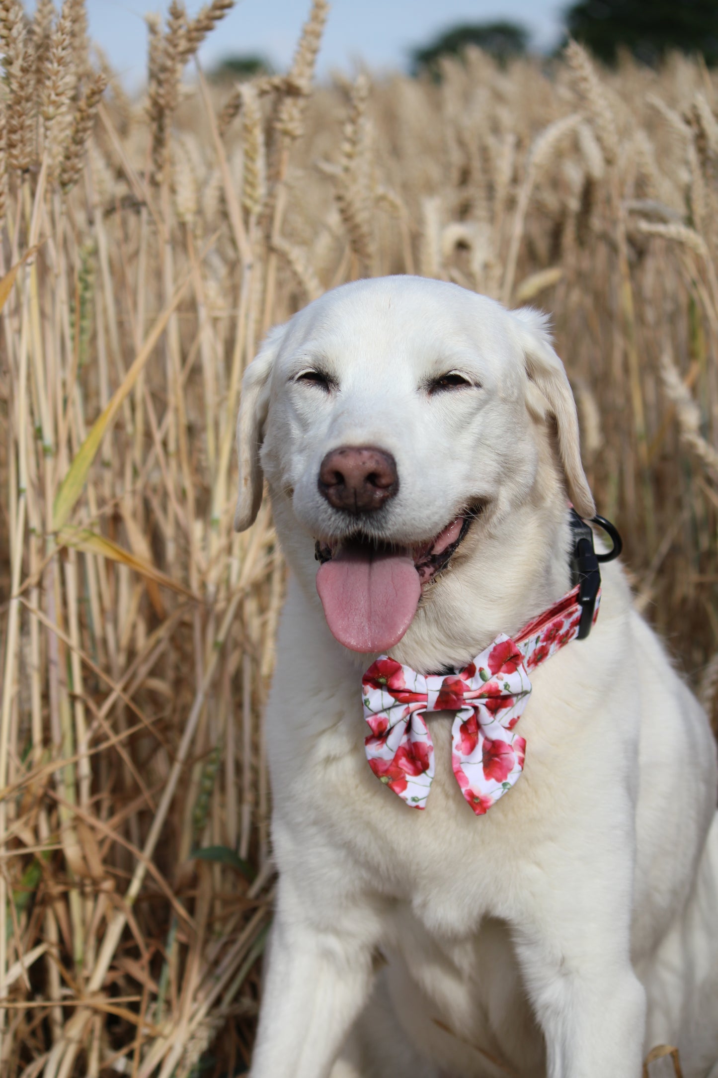 Sailor Bow Tie  - Poppies