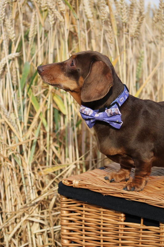 Bow Tie  - Lavender Countryside)