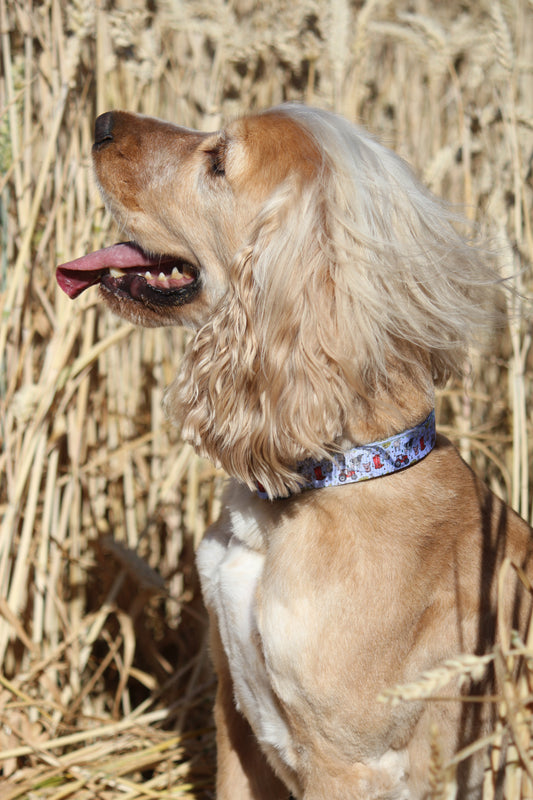Collar - Freddie's Farm