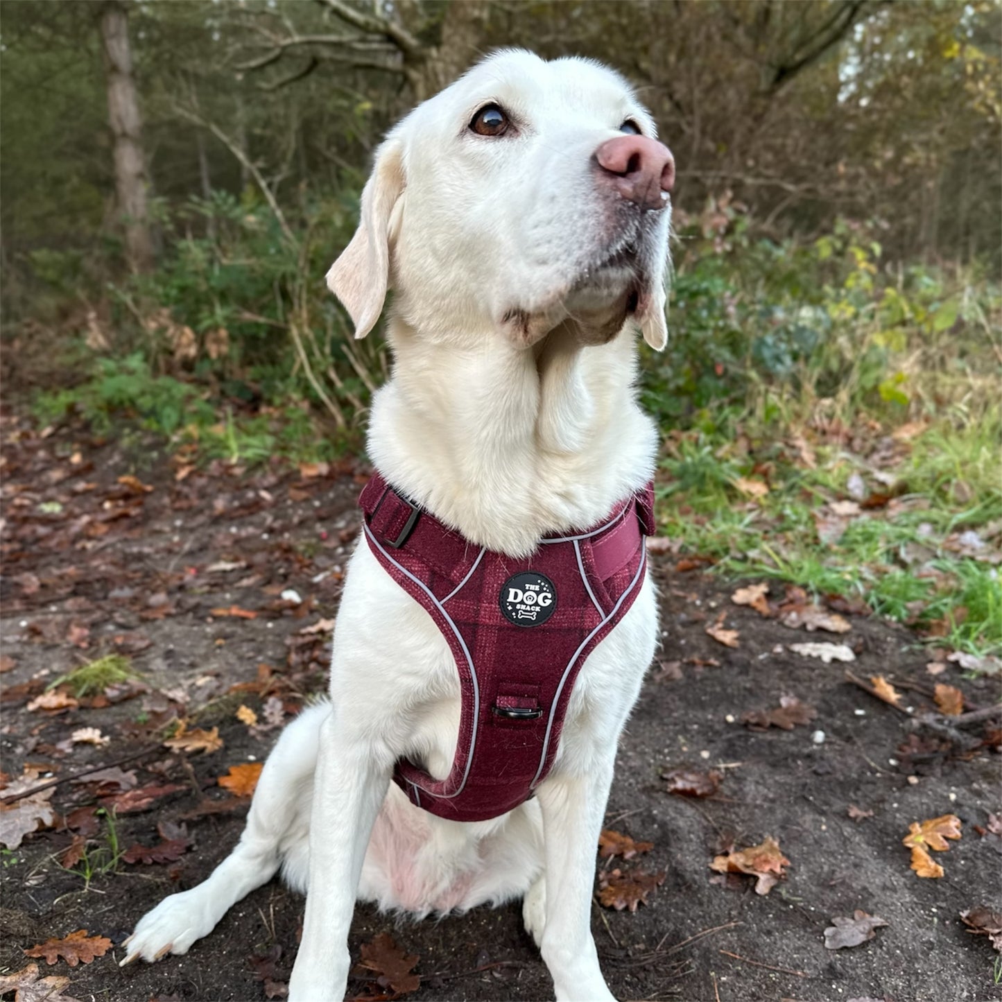 Adjustable 1 Clip & 3 clip harness - Red Tweed