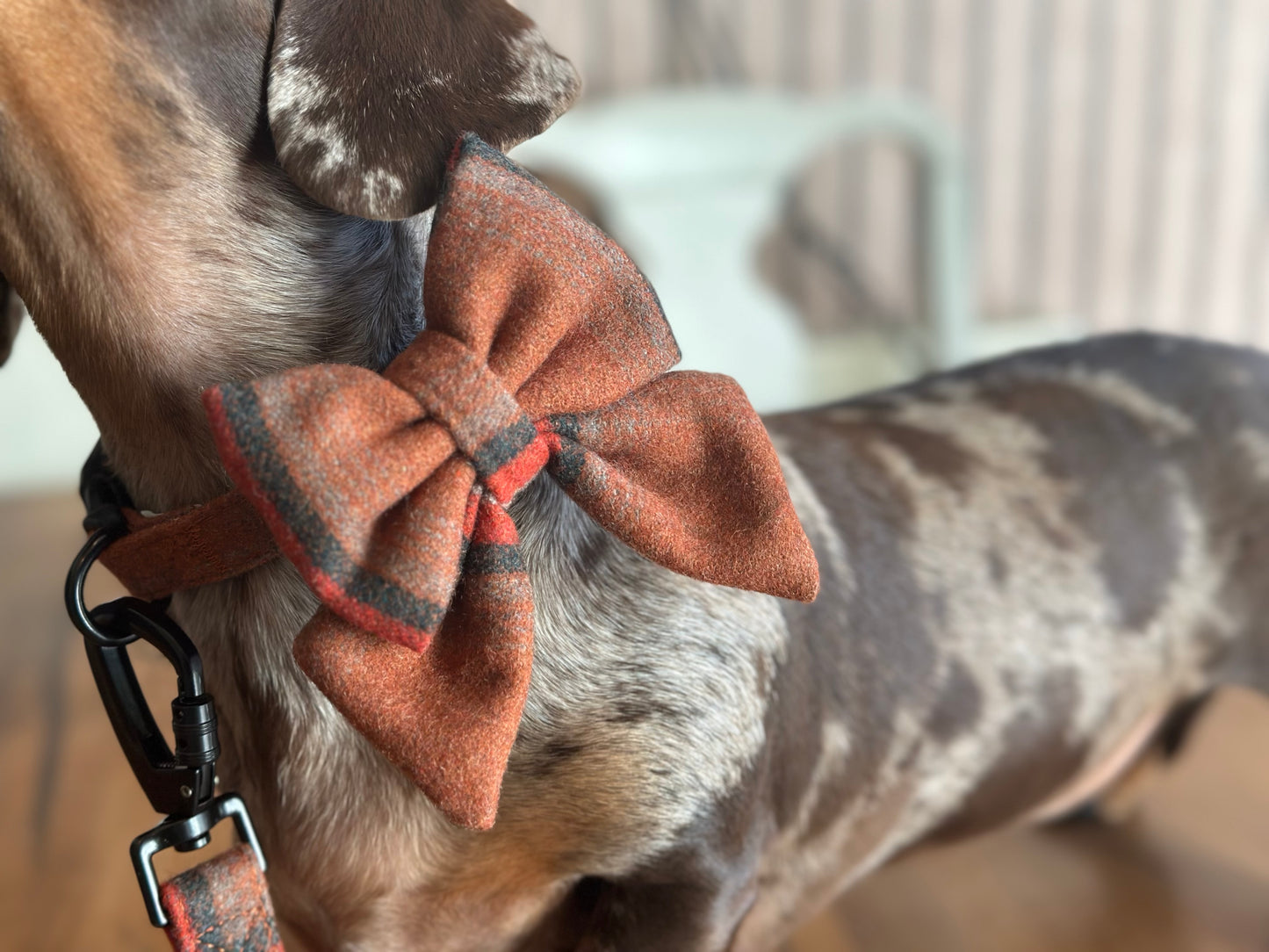 Sailor Bow Tie  - Orange Tweed