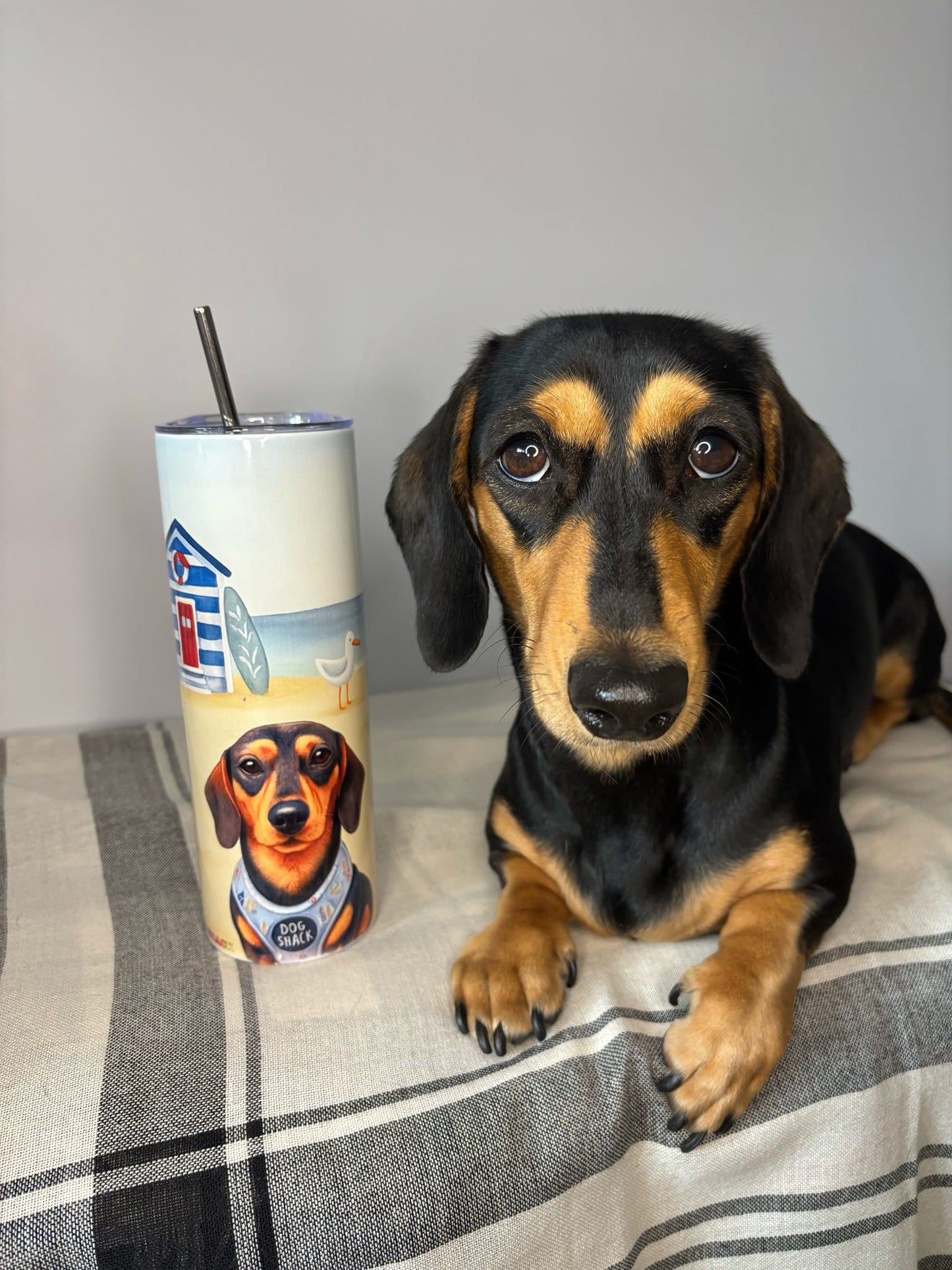 Personalised Tumbler 20oz - Beach Pup
