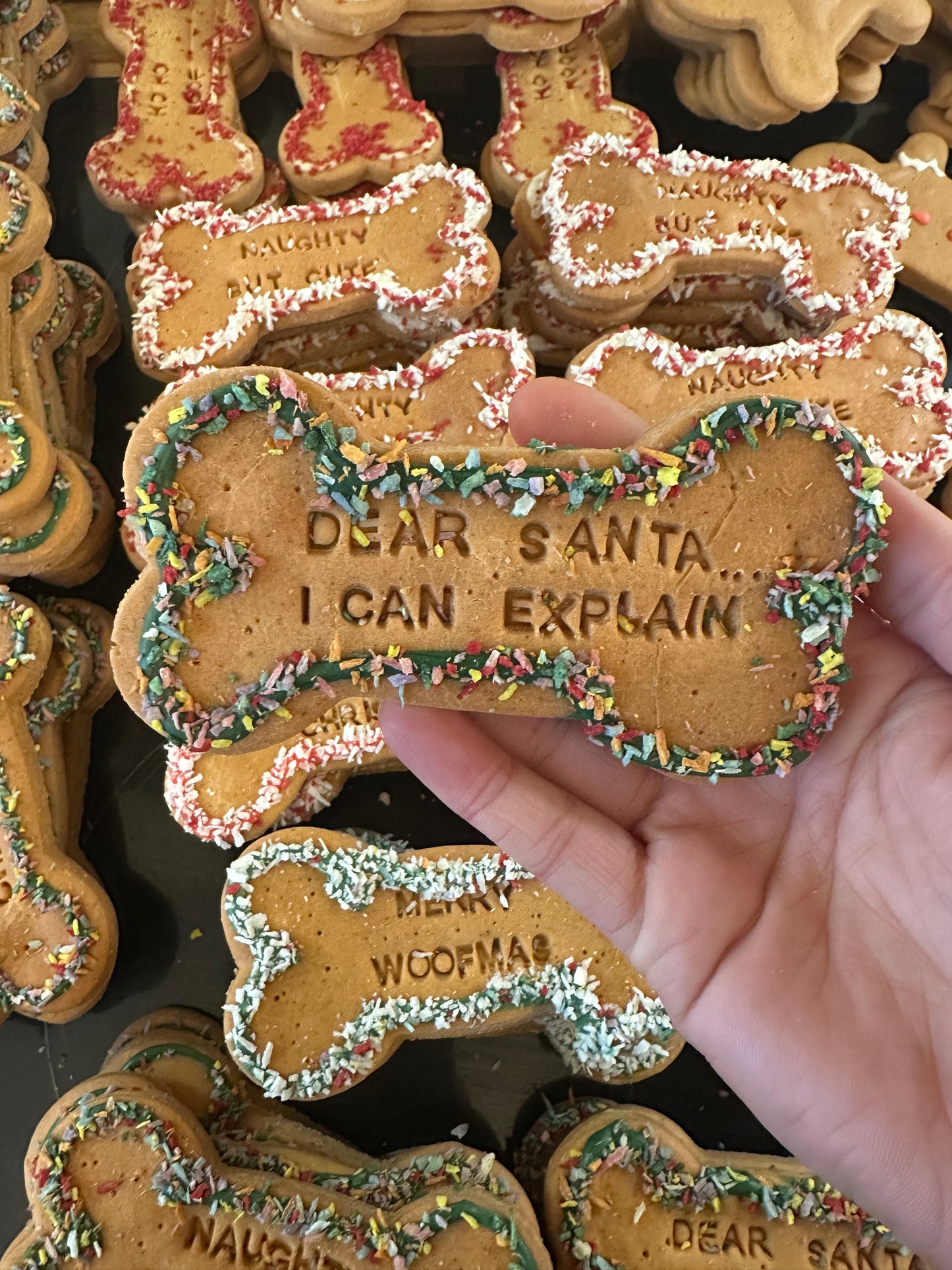 DEAR SANTA… I CAN EXPLAIN  Grainfree Dog Biscuit