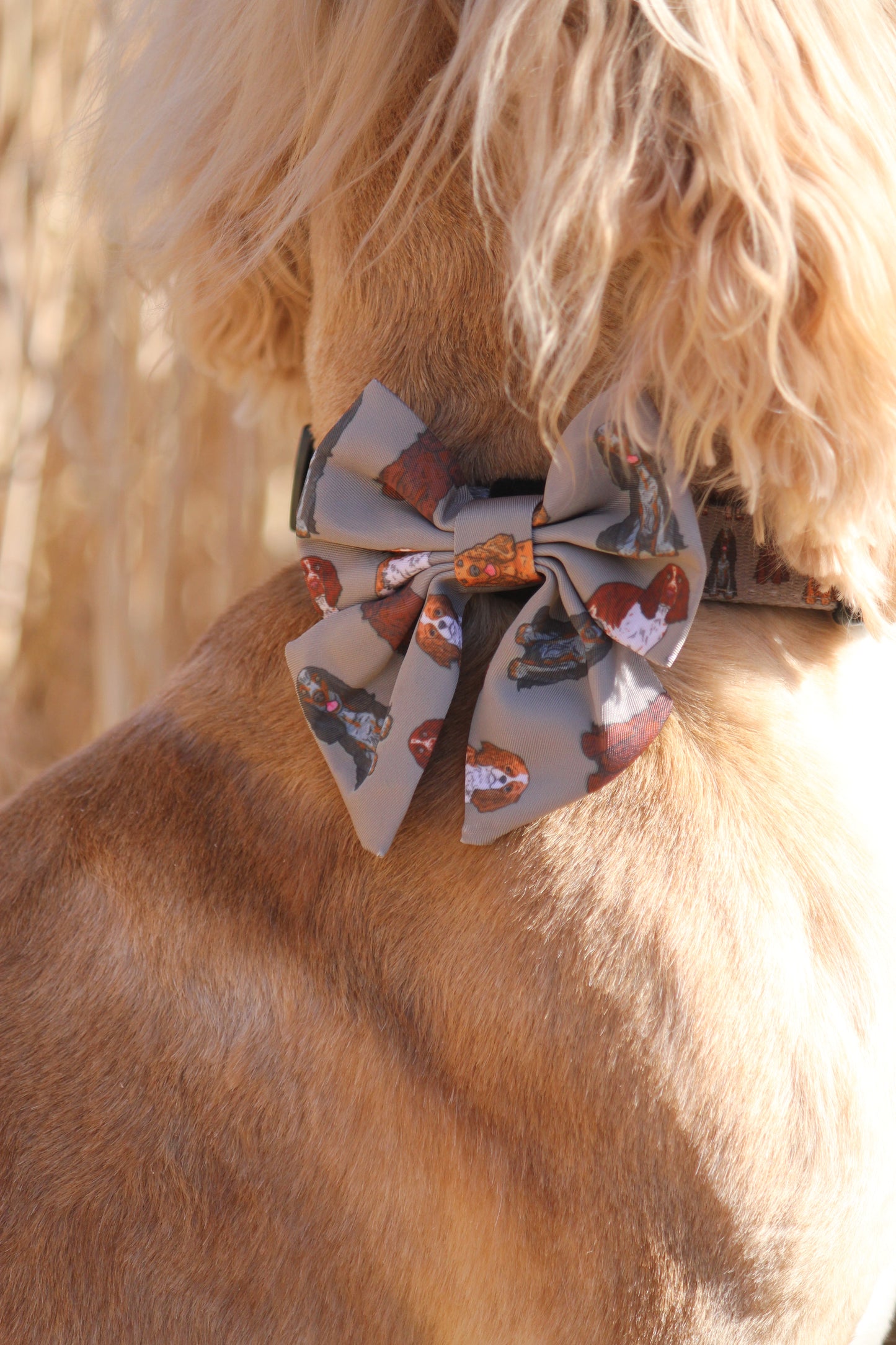 Sailor  Bow Tie  - Spaniel