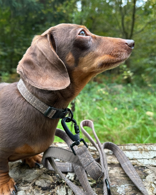 Collar - Brown Tweed