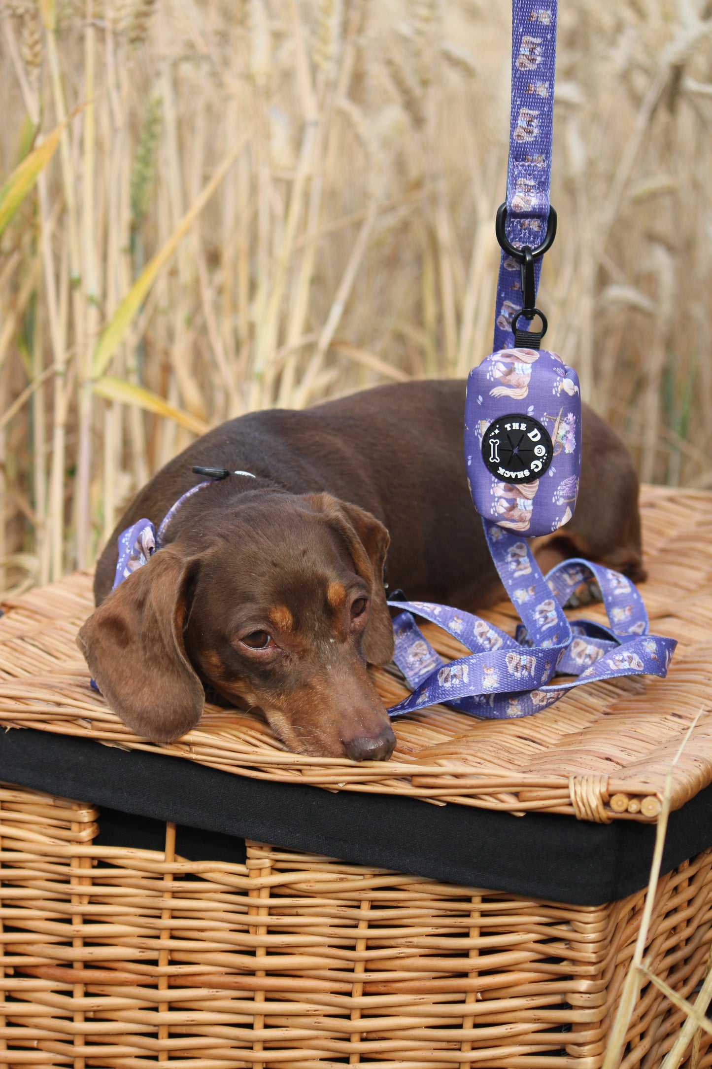 Poo Bag Holder  - Lavender Countryside