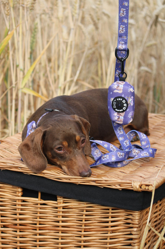 Poo Bag Holder  - Lavender Countryside
