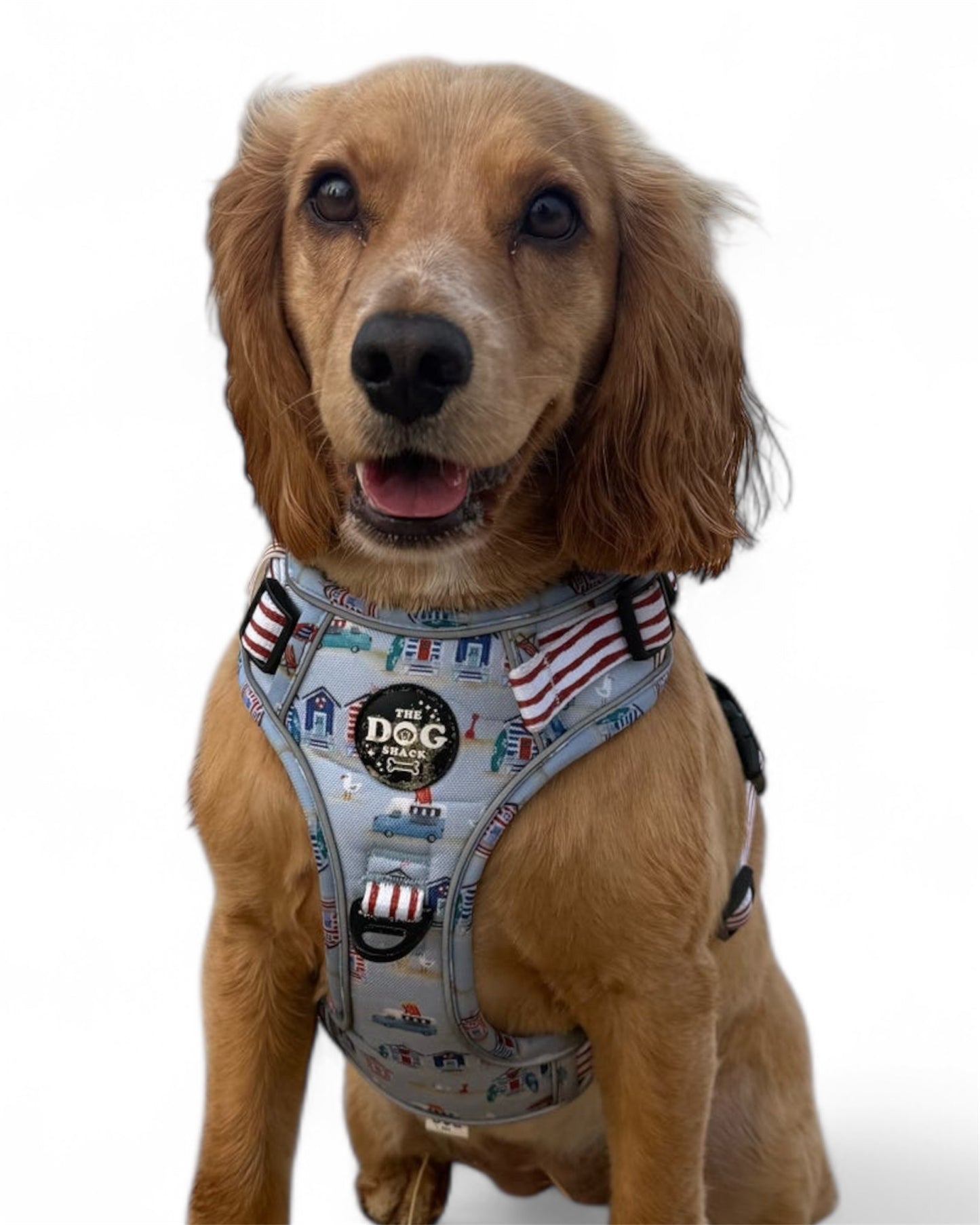 Adjustable 1 Clip & 3 harness - Beach Pup