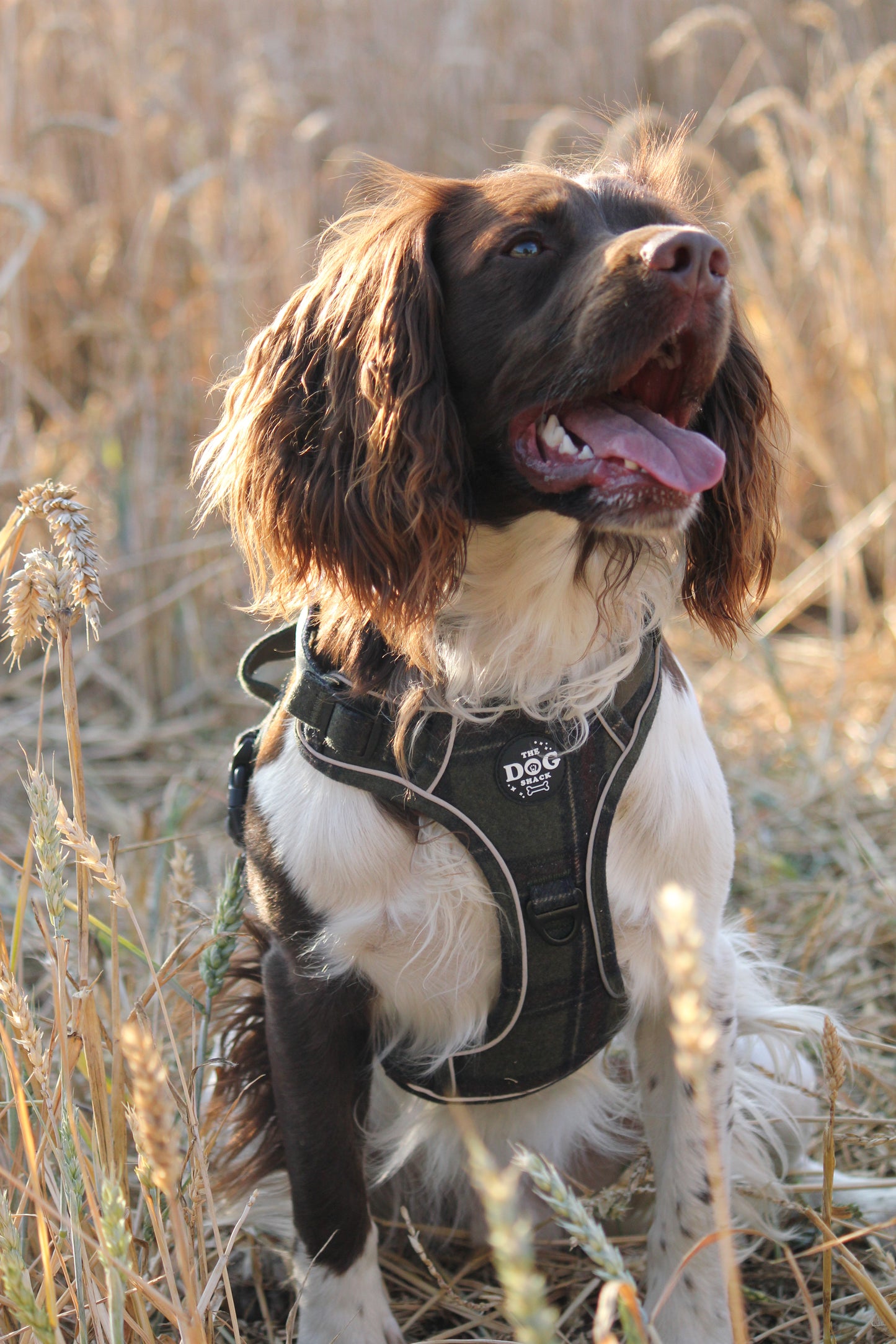 Adjustable 1 Clip & 3 Clip Harness  - Green Tweed