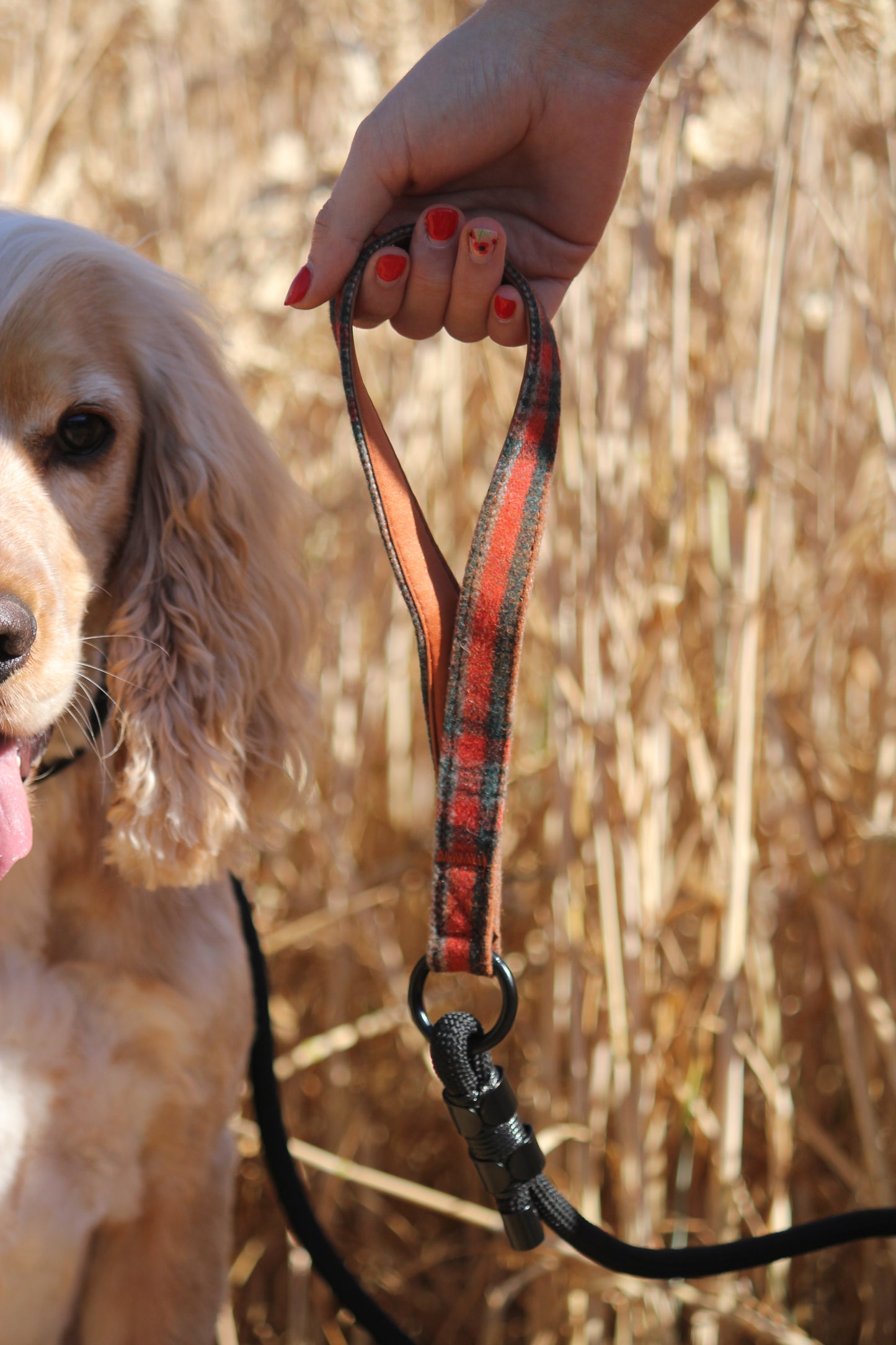 Slip lead with Orange Tweed Handle