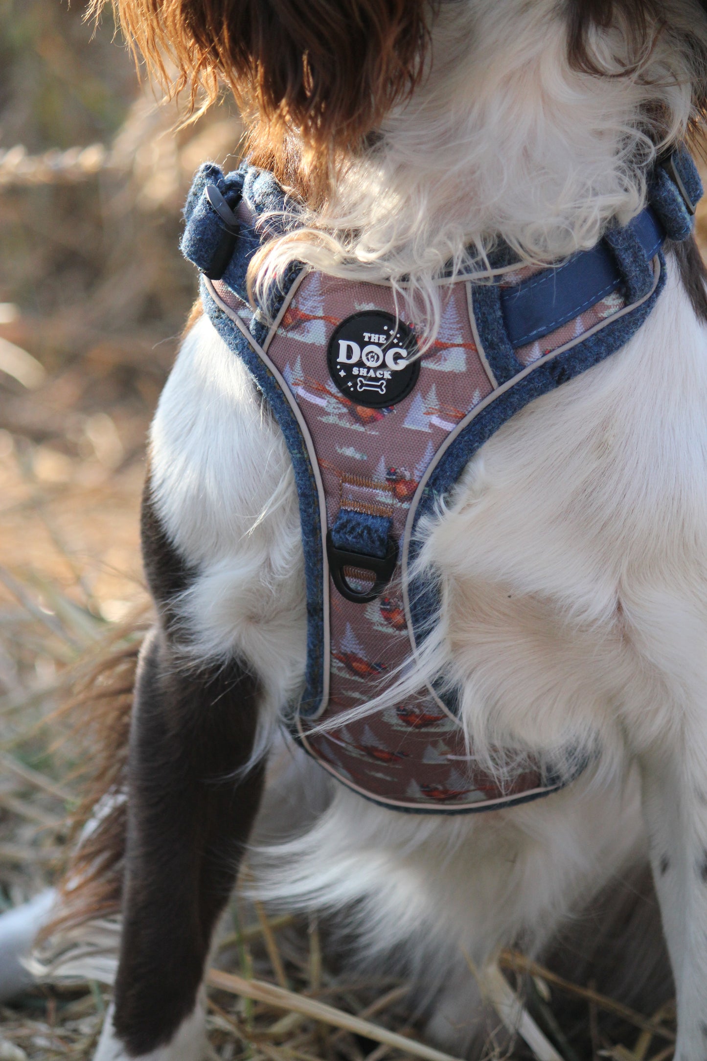 Adjustable 1 Clip & 3 clip harness - Blue Tweed X Pheasant