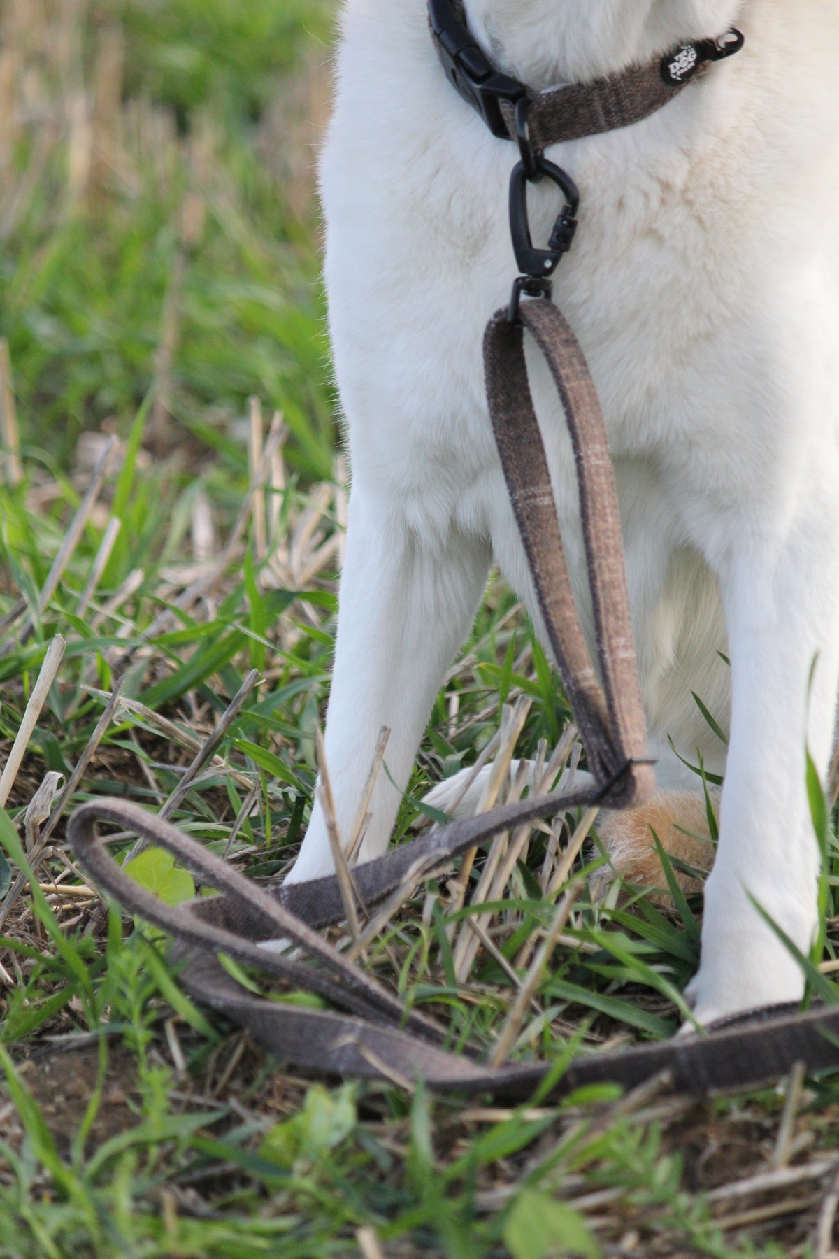 Brown Tweed Adjustable Dog Lead – Country Style