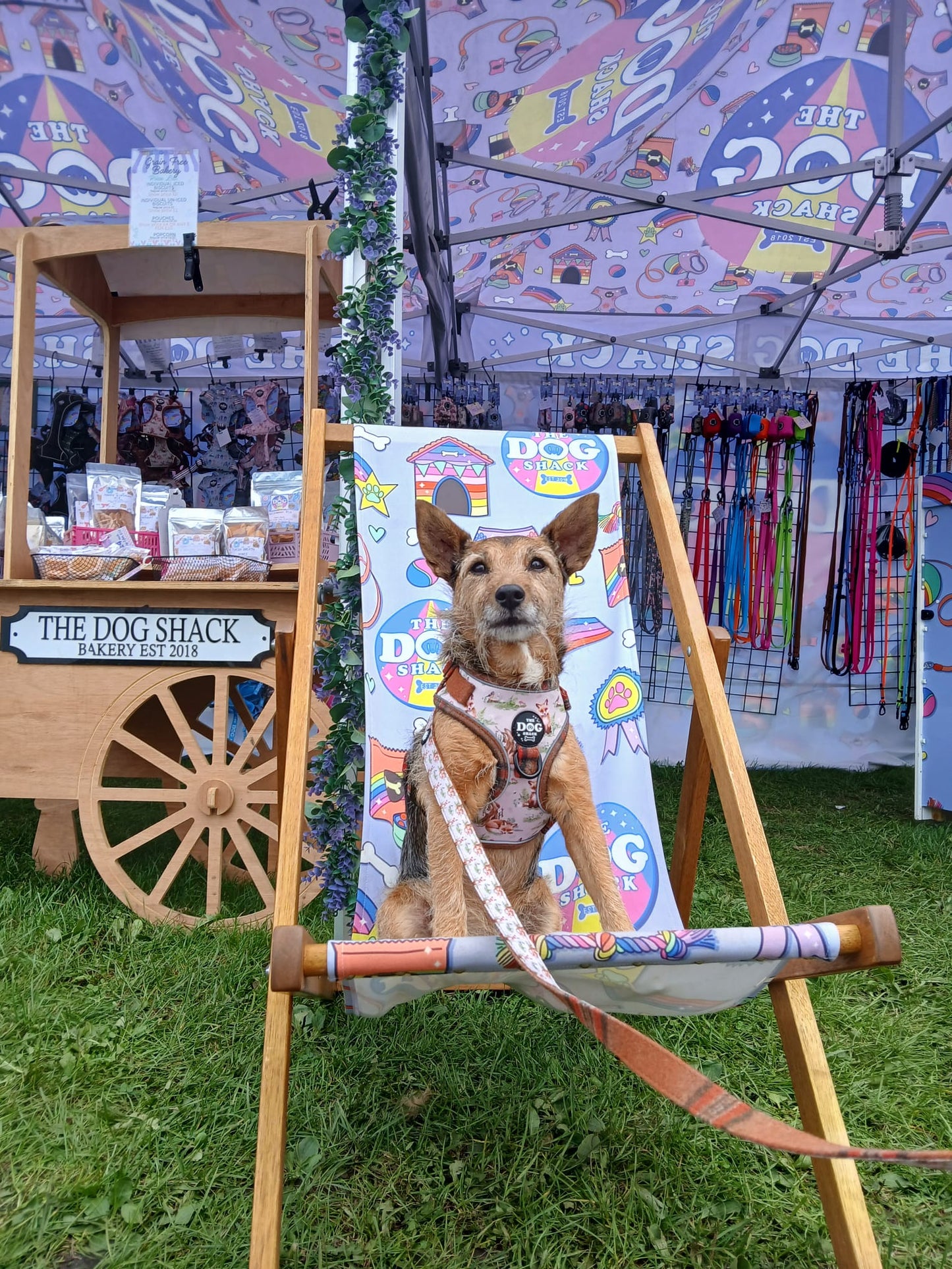 Adjustable 1 Clip & 3 clip harness - orange tweed x Fern Fox