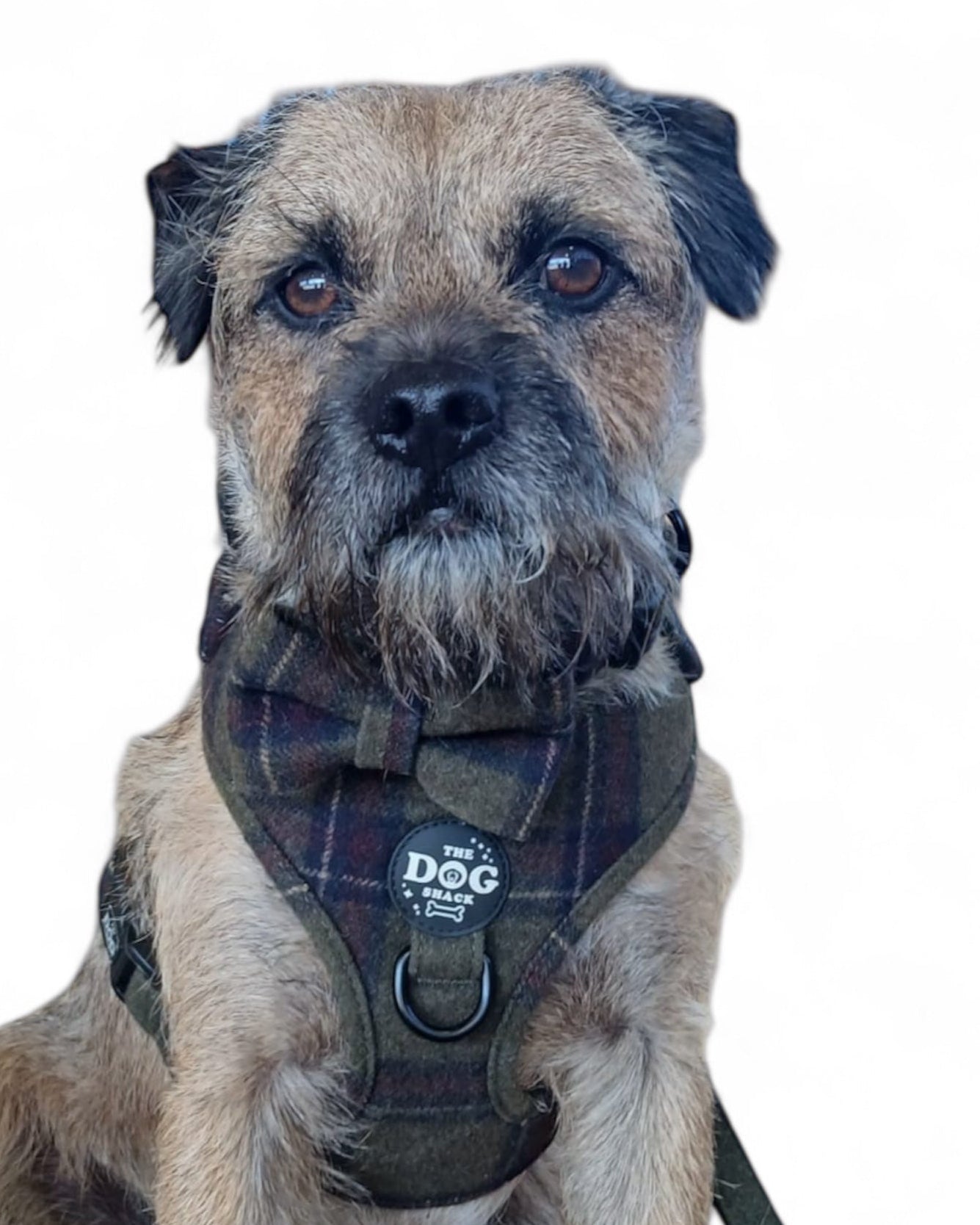 Adjustable 1 Clip & 3 Clip Harness  - Green Tweed