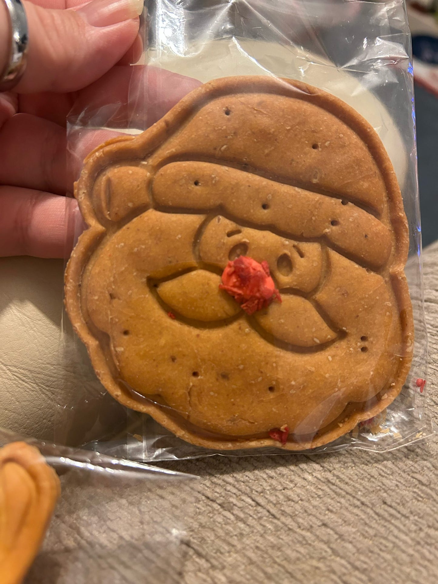 Santa Grain free Dog Biscuit