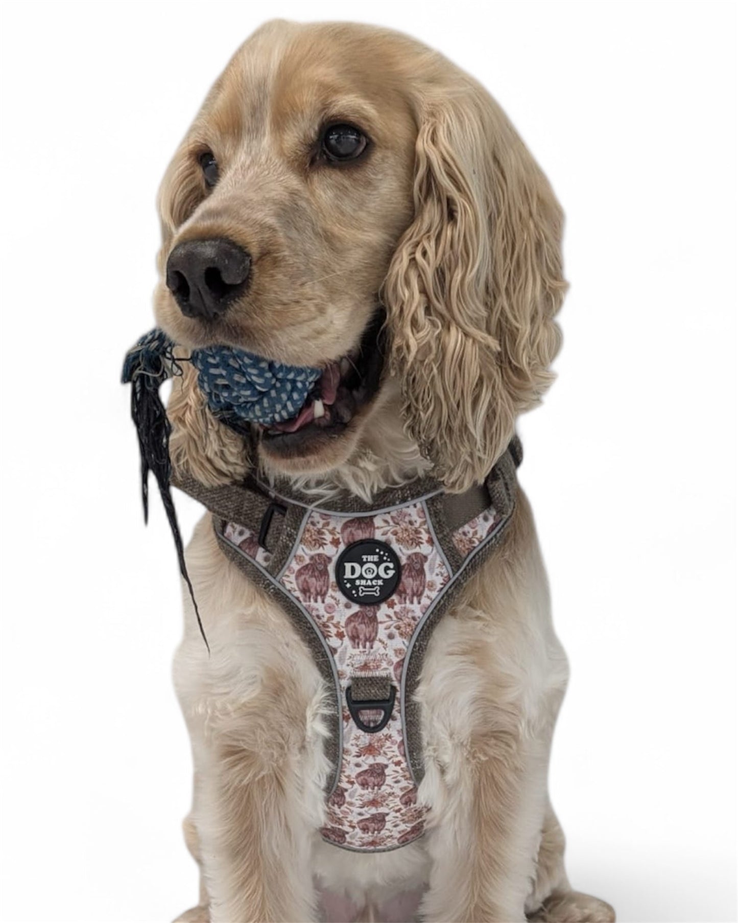 Adjustable 1 Clip & 3 harness - Brown Tweed x Highland Cow