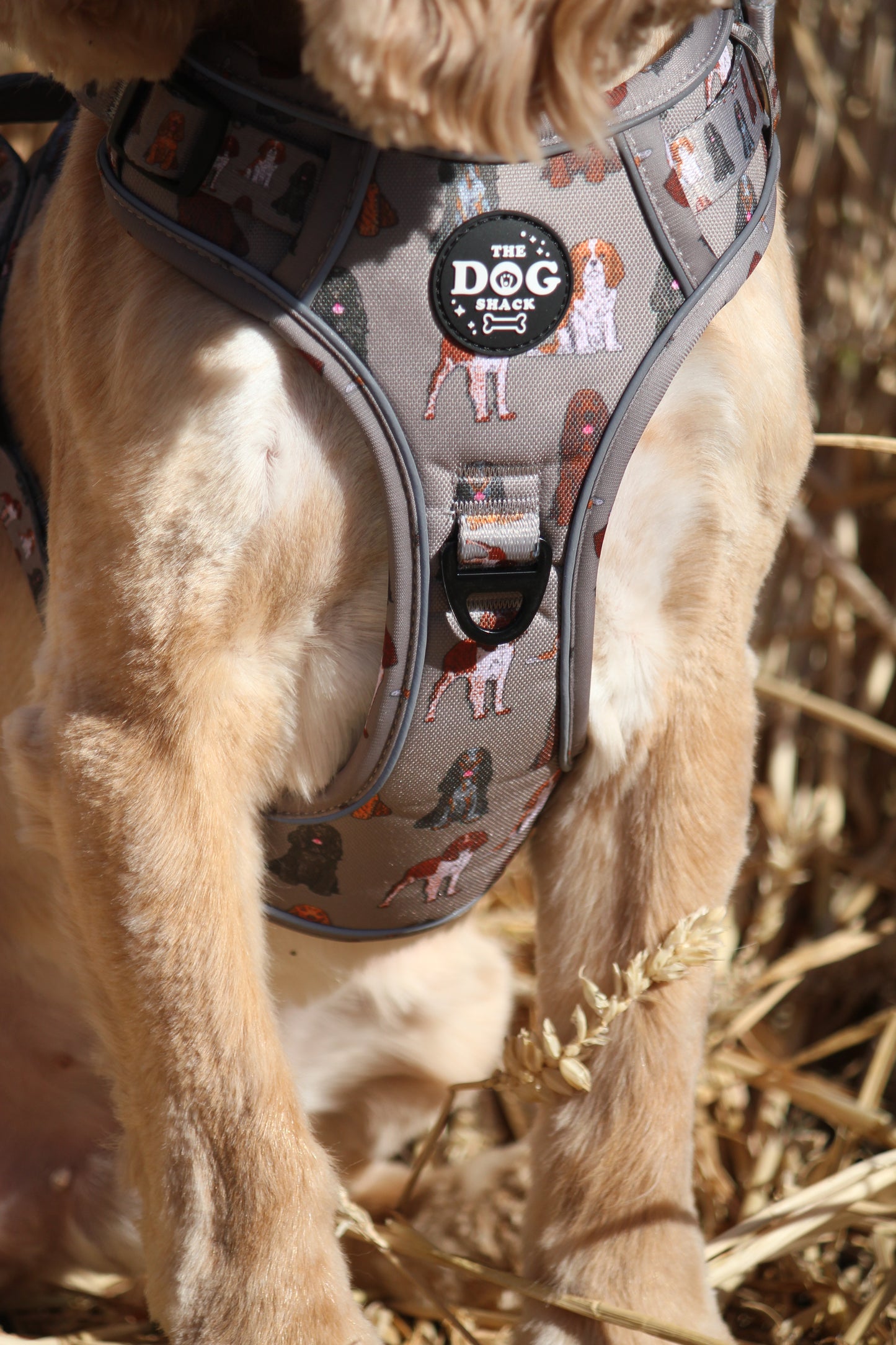3 Clip harness - Spaniel