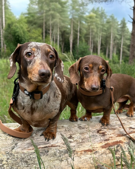 Waterproof Biothene Collar - Brown