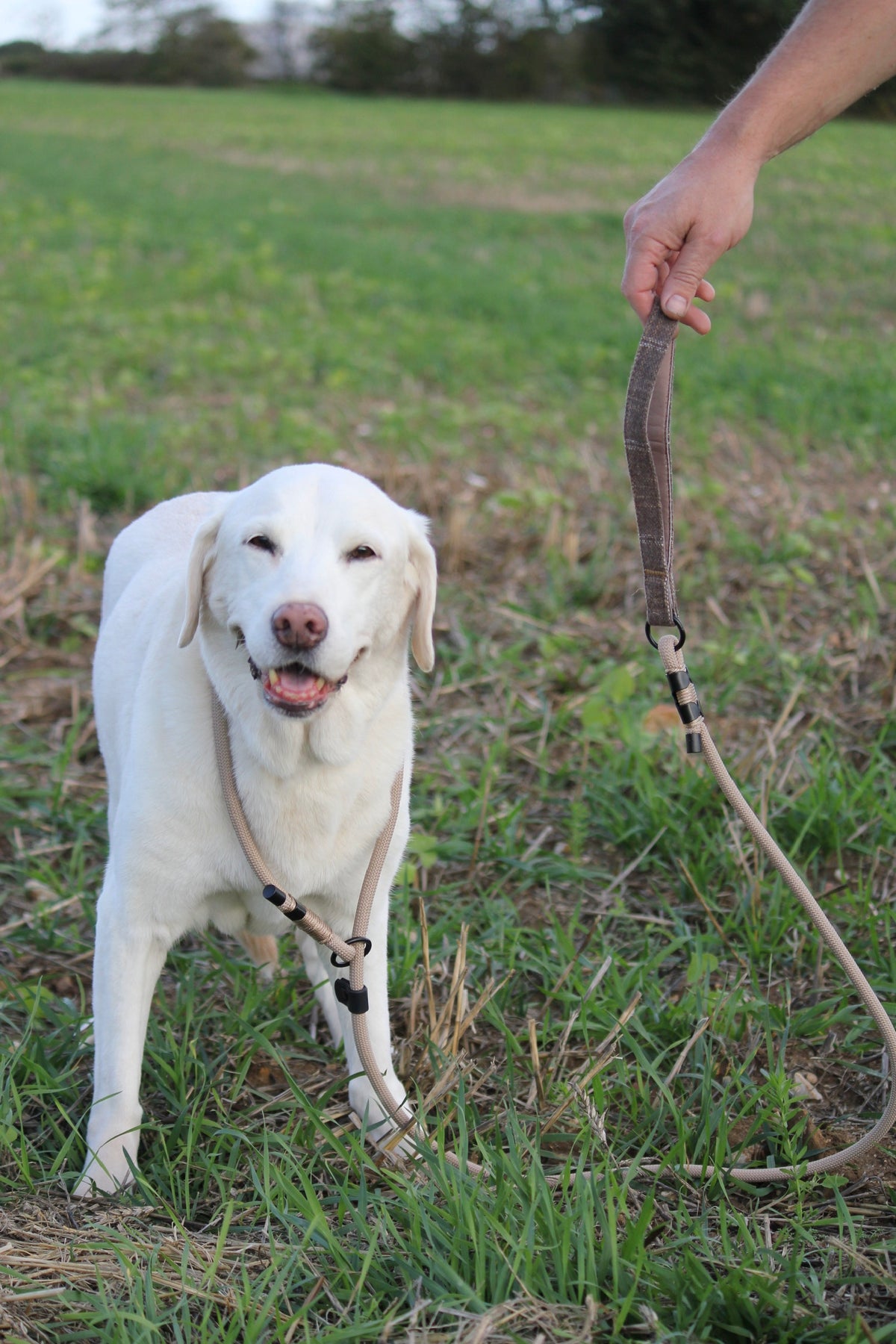 Brown Rope Slip Lead with Brown Tweed Handle